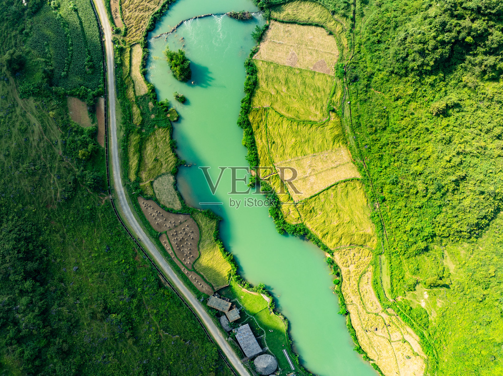 越南北部绿色稻田的鸟瞰图，越南北部美丽的旅游目的地，旅行与风景概念，自然与稻田背景照片摄影图片