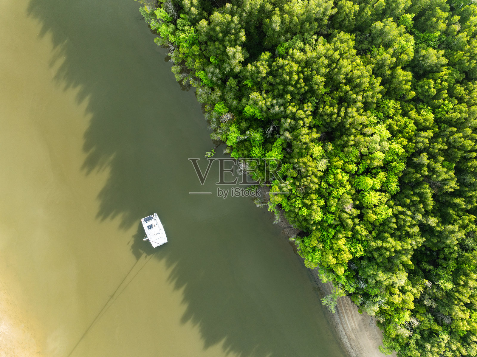 森林湖泊的俯视景观，雨林生态系统与健康环境概念，自然背景，绿色树木森林的纹理从上方观察，绿意盎然的红树林树木背景的航拍视图。照片摄影图片