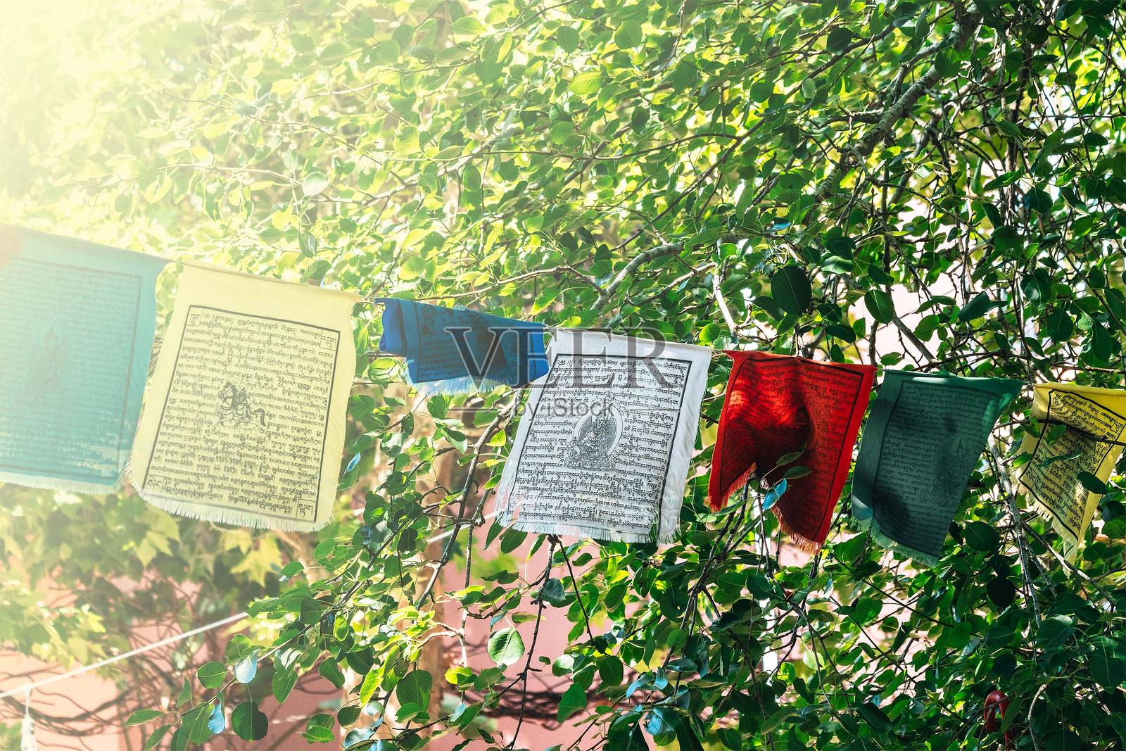 五彩缤纷的祈祷旗在风中飘扬照片摄影图片