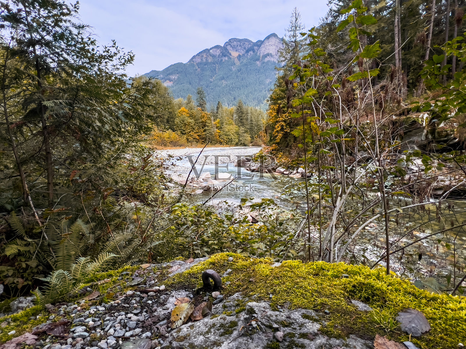 在加拿大山脉中的河流照片摄影图片