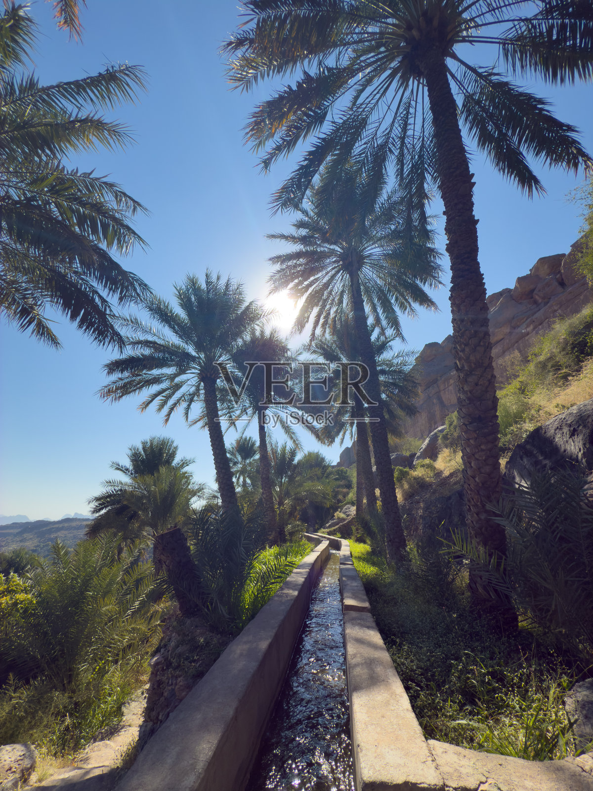 阿曼哈贾尔山脉的米斯法特·阿尔·阿布里因 - 米斯法特·阿尔·阿布里因村的椰枣树绿洲和水泉。阿曼苏丹国照片摄影图片