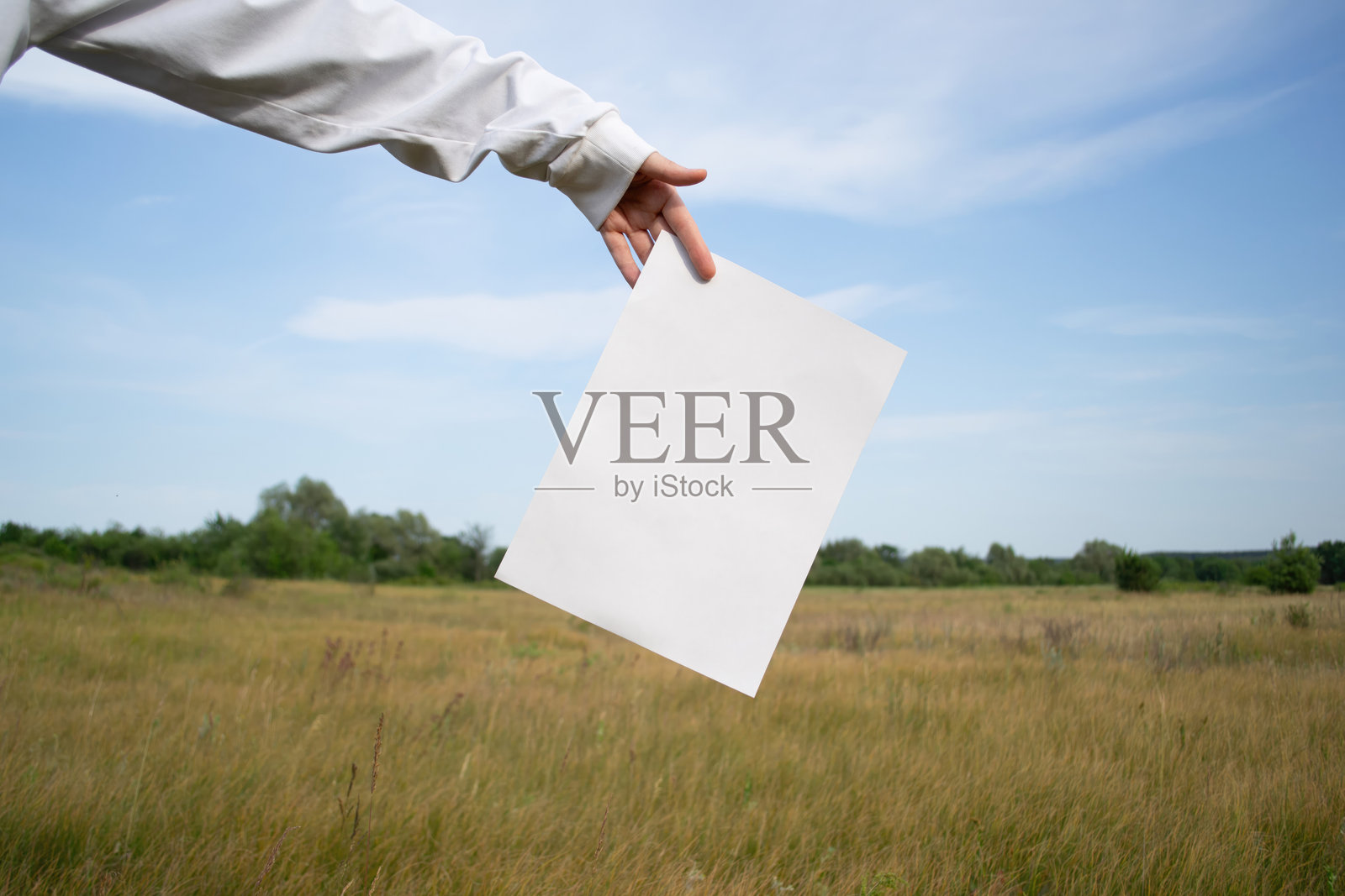 在蓝天和森林地平线与田野的背景下，手中握着一张空白纸张。照片摄影图片