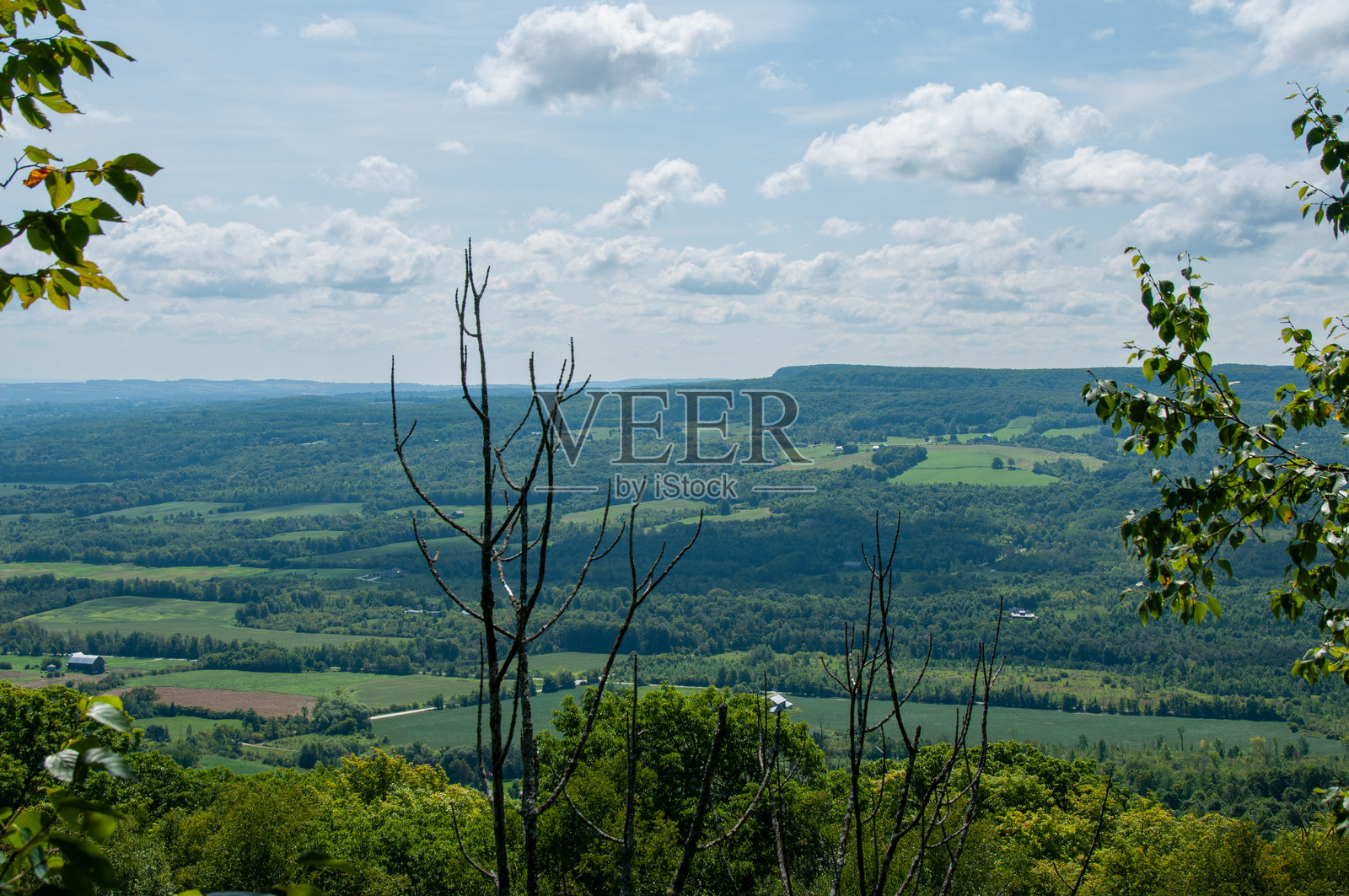 从尼亚加拉悬崖顶部俯瞰森林和农田的景色照片摄影图片