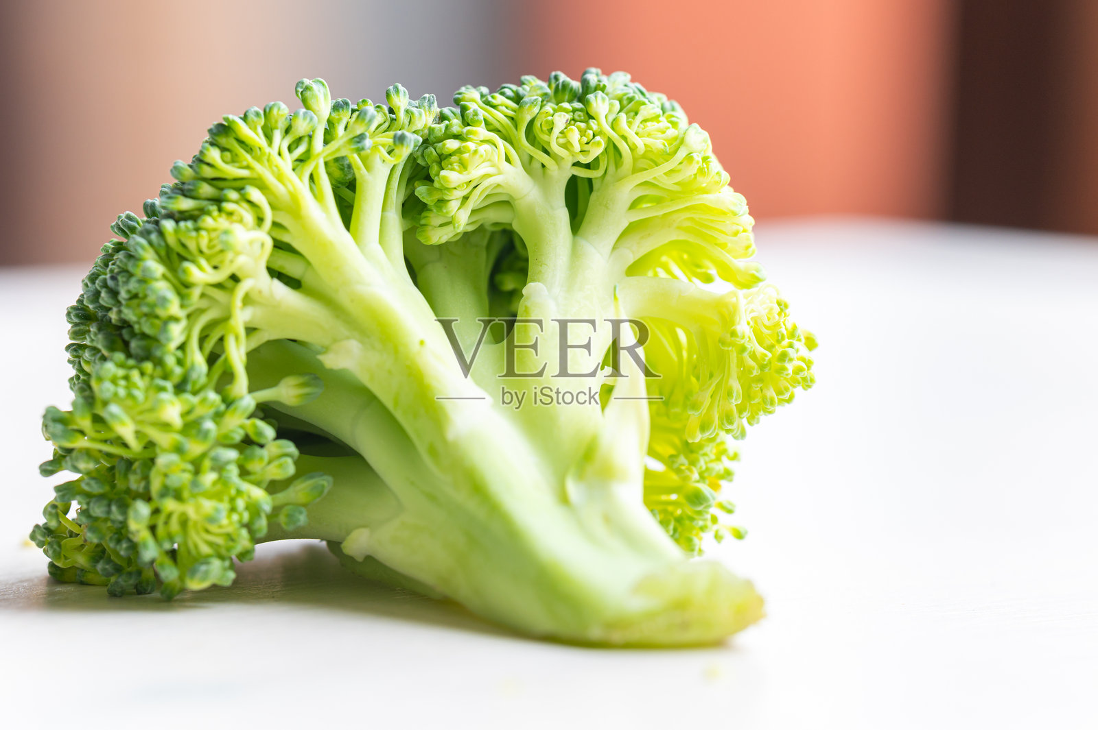 白色表面上的西兰花。照片摄影图片