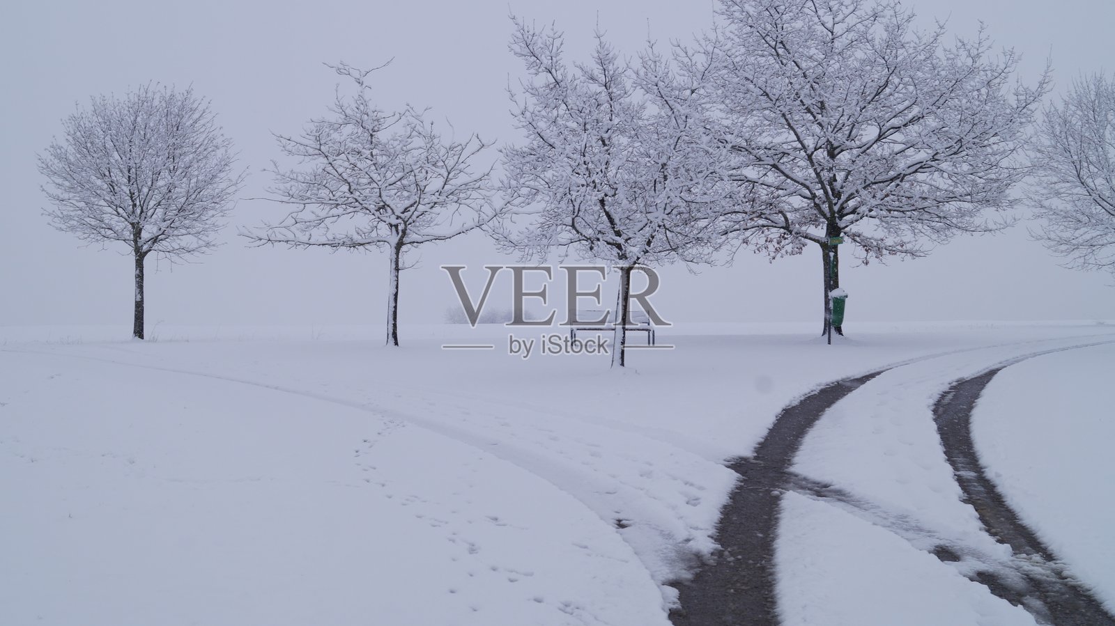 宁静的冬季景观被新雪覆盖，树木在雾霭中渐渐消失。照片摄影图片