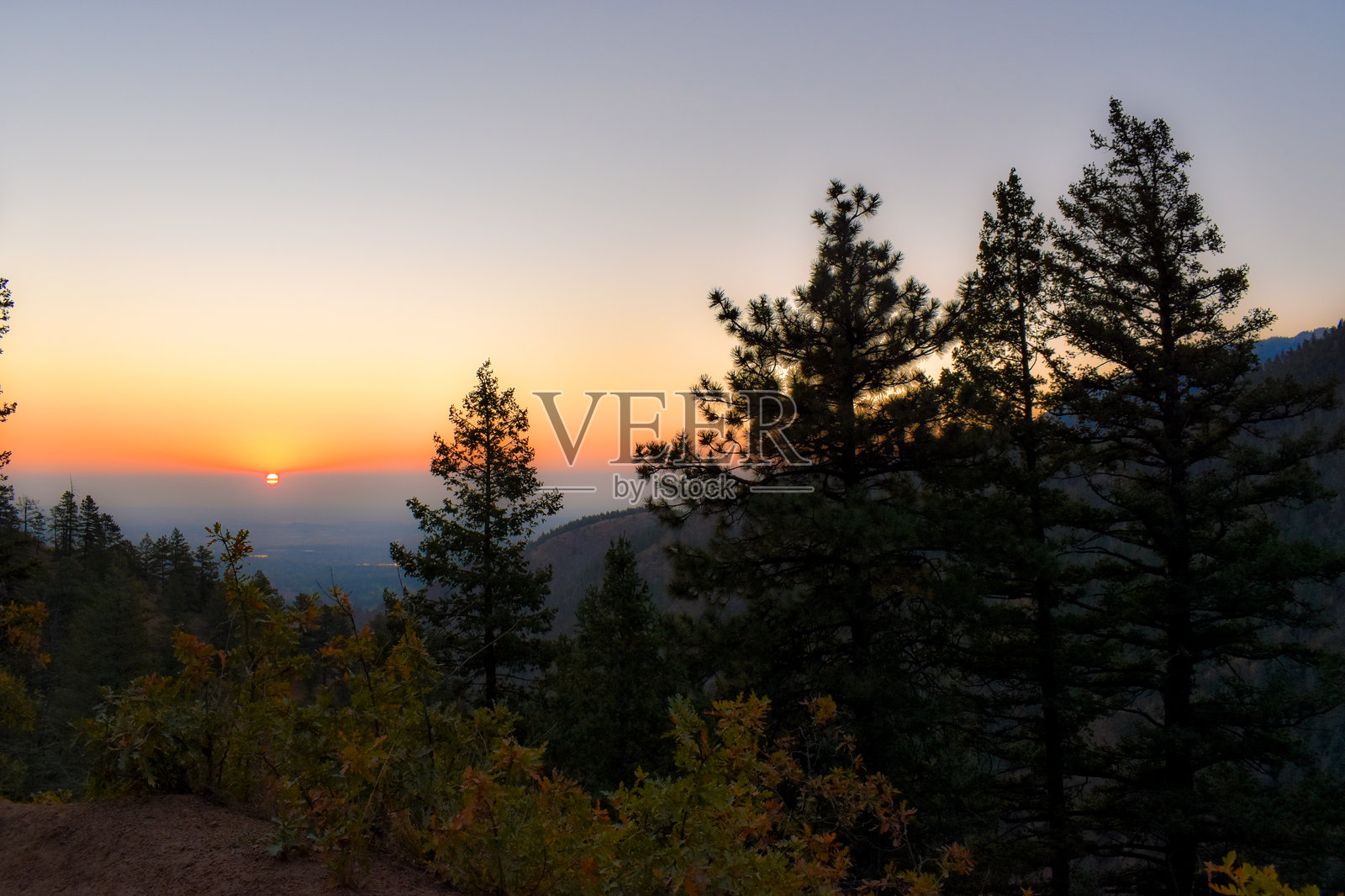 松林中的日出照片摄影图片