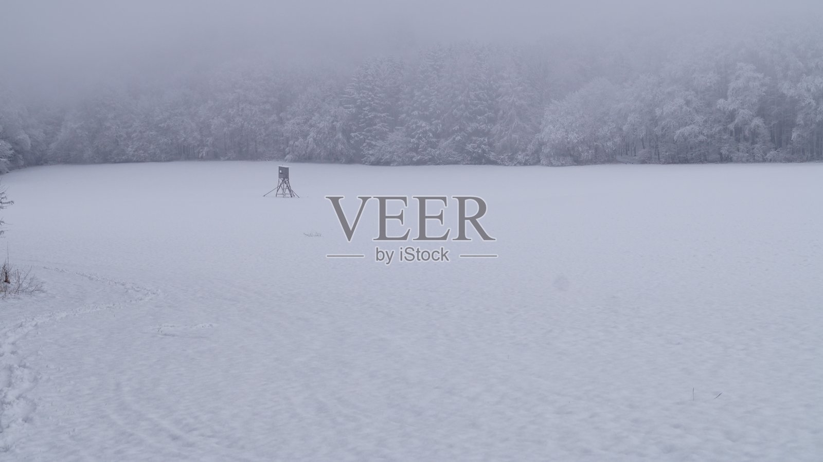 宁静的冬季景观被新雪覆盖，树木在雾霭中渐渐消失。照片摄影图片