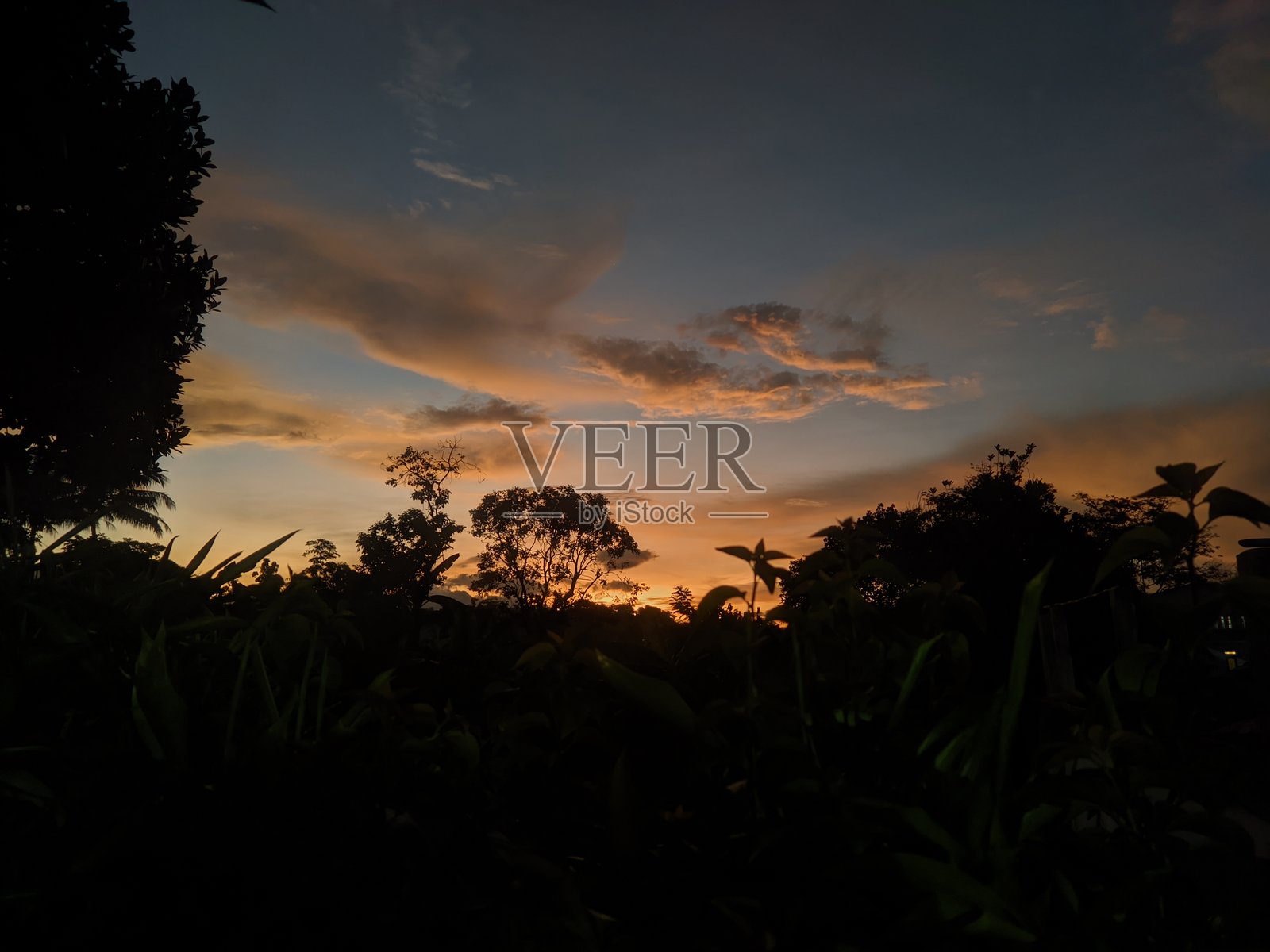 下午的氛围照片摄影图片