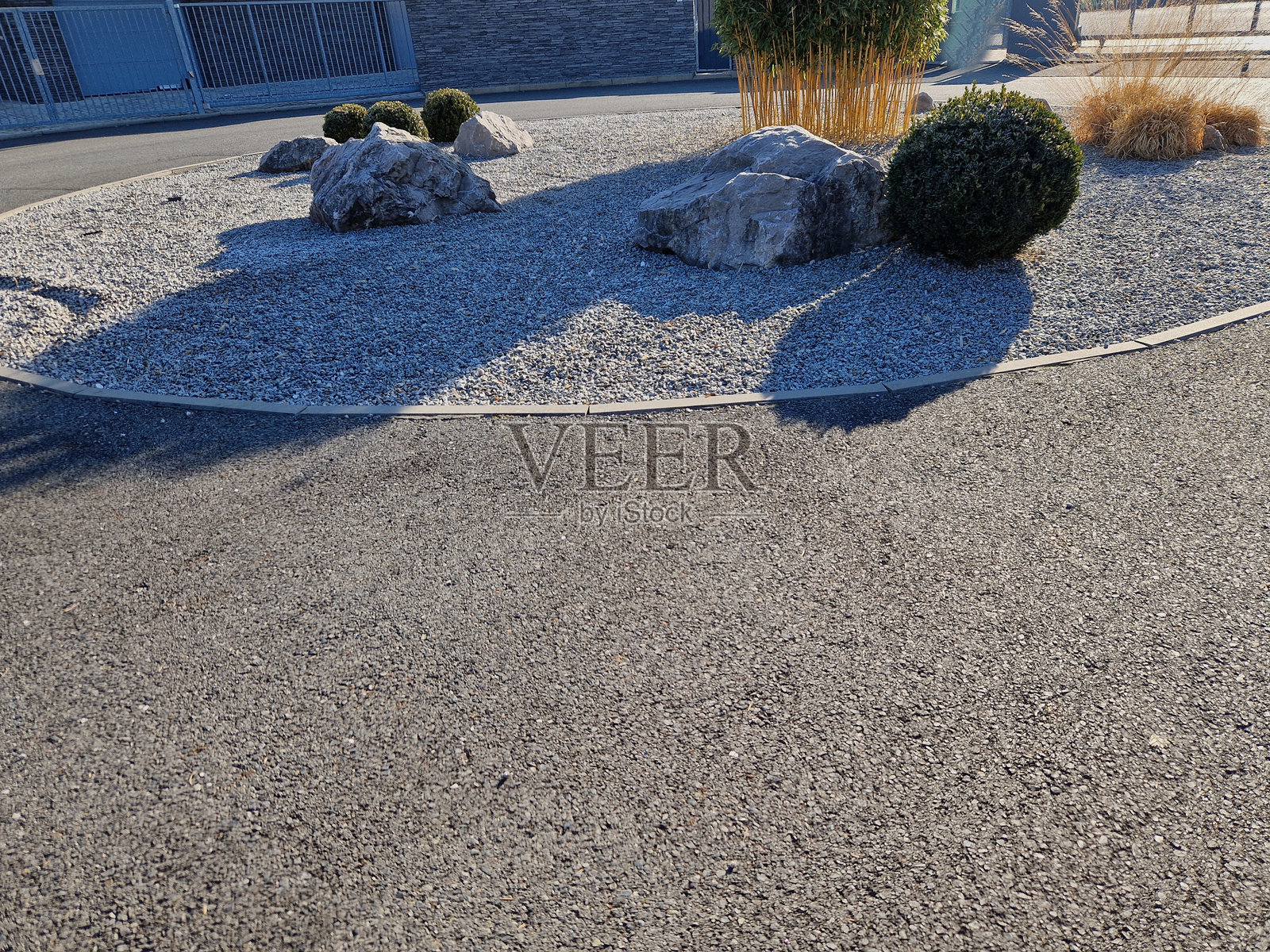 巨型竹子是一种古老的竹类植物，拥有柔软的绿色尖叶，约10厘米长，优雅地悬挂在竹竿上，呈现出轻松的外观。幼竹竿为绿色，逐渐变为黄色。侵入性露台。照片摄影图片