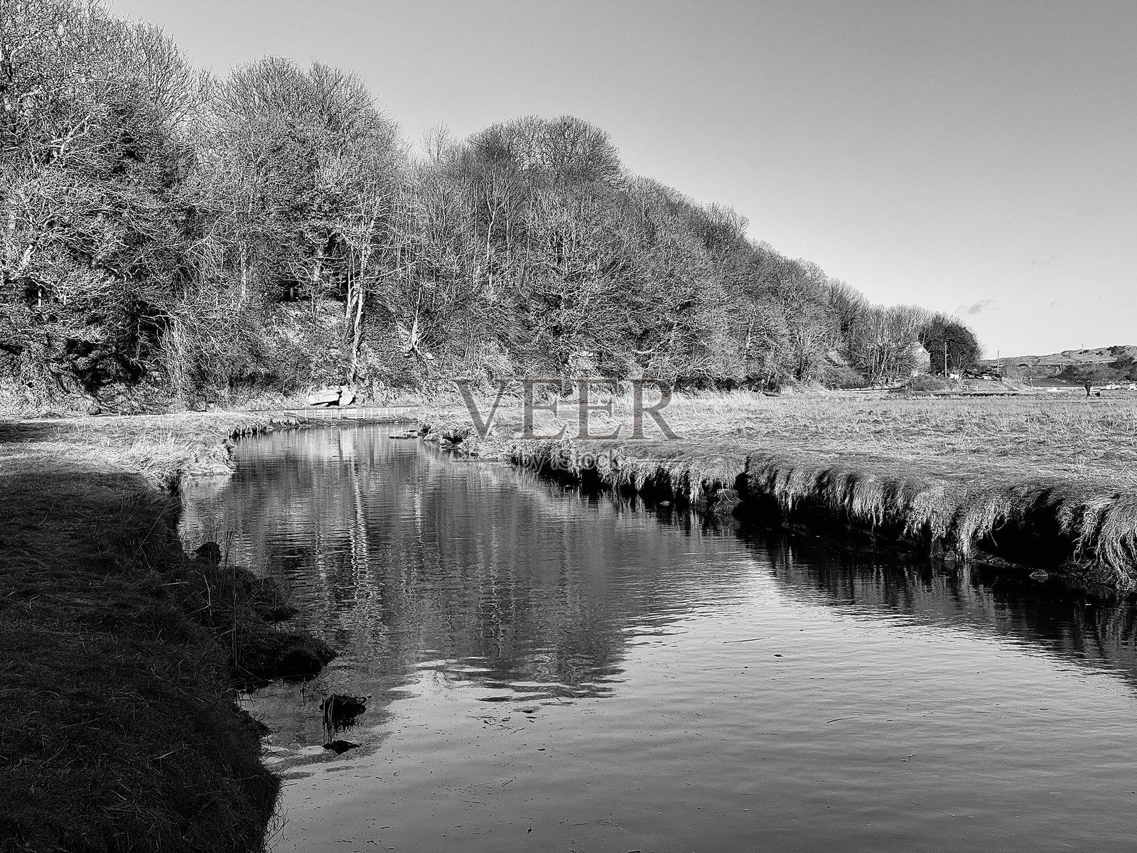 诺森伯兰的西顿河中树木的倒影照片摄影图片