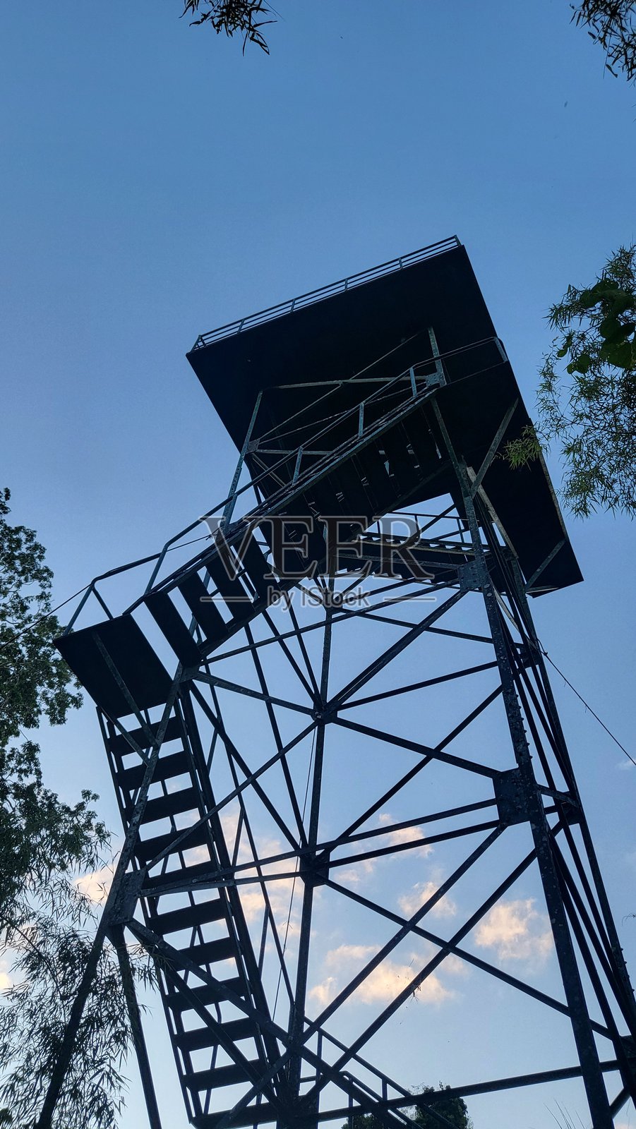 从底部向上看，几层高的鸟瞰塔位于马努国家公园内。照片摄影图片