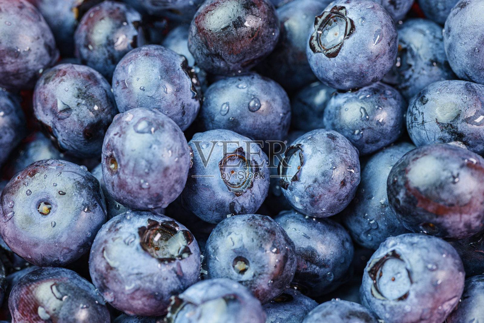 蓝莓或越橘。照片摄影图片