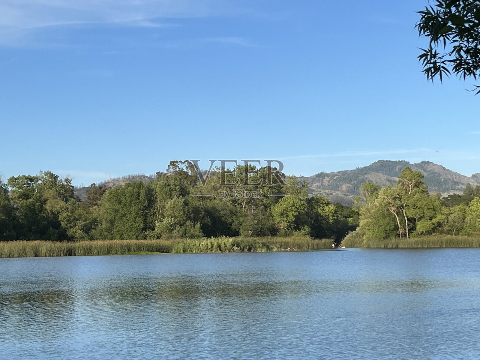 加州索诺玛县春湖地区公园照片摄影图片