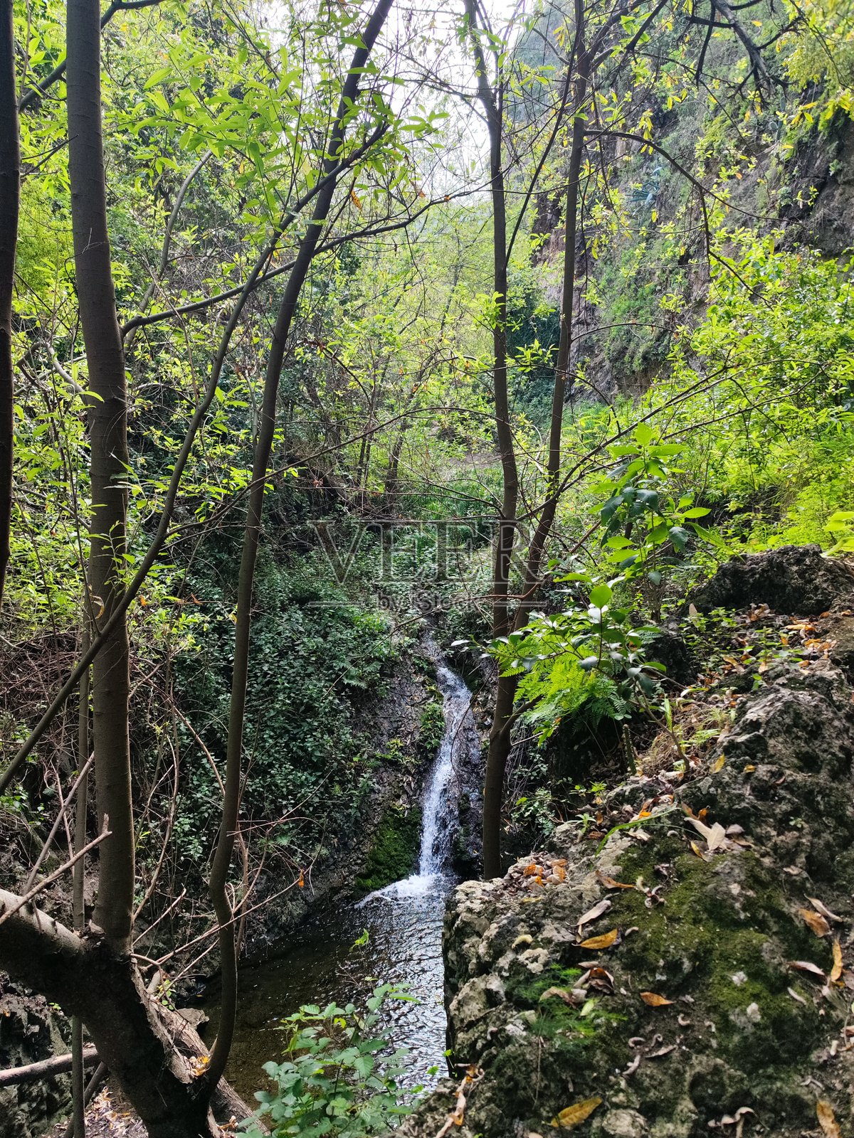 阿祖阿赫的瀑布，格兰卡纳里亚照片摄影图片