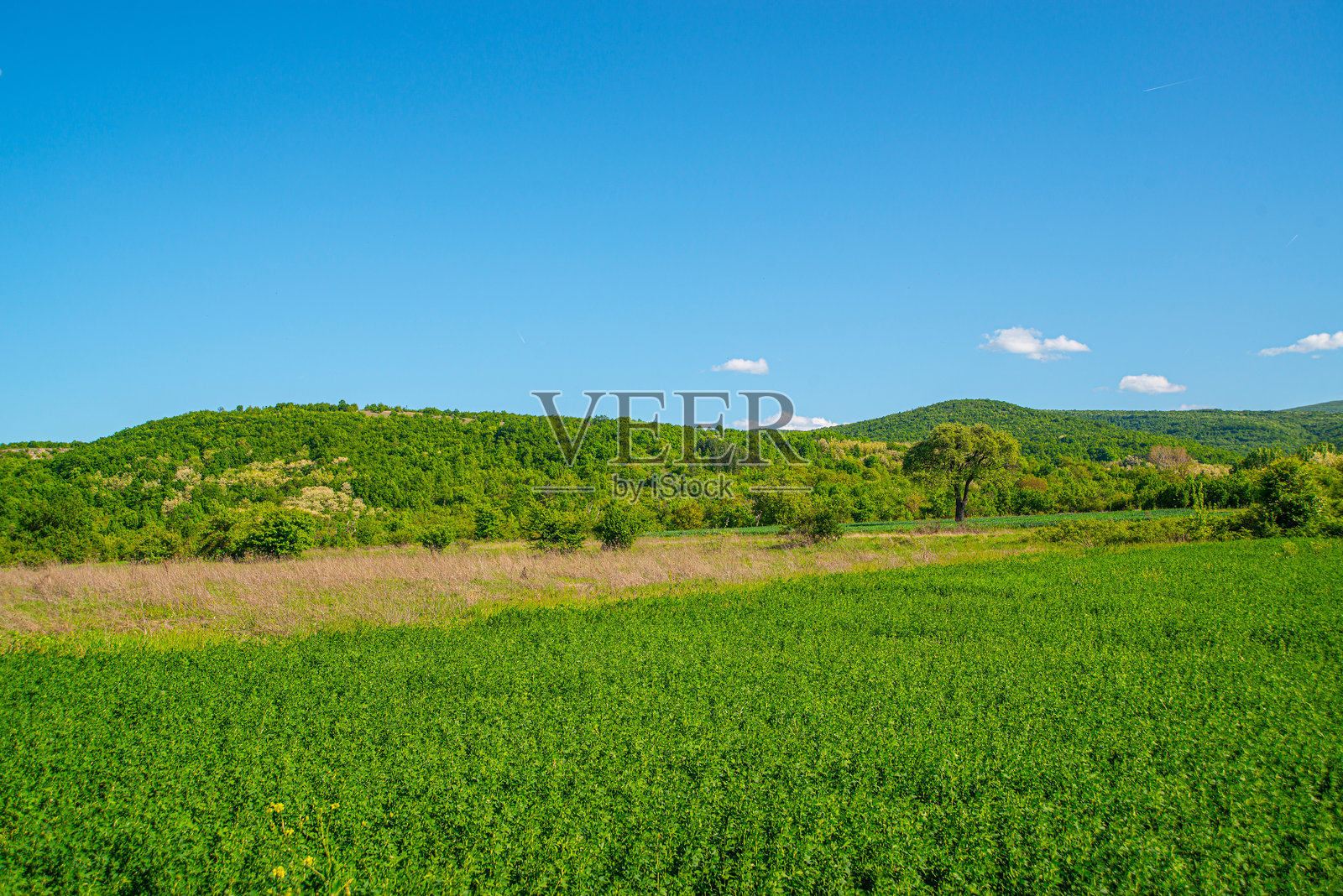 美丽的春季绿色山脉风景，自然的觉醒照片摄影图片