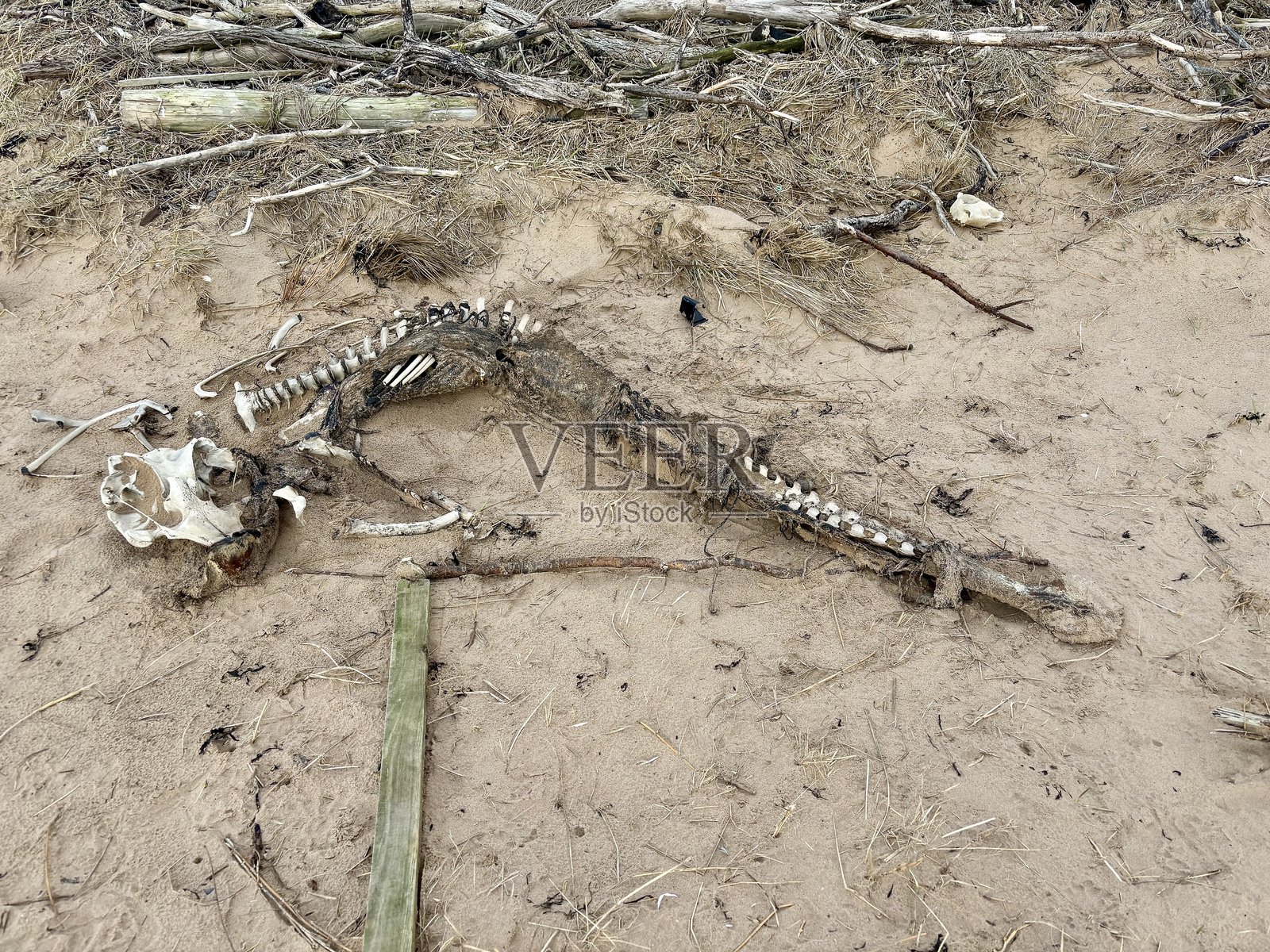 旅程的终点照片摄影图片