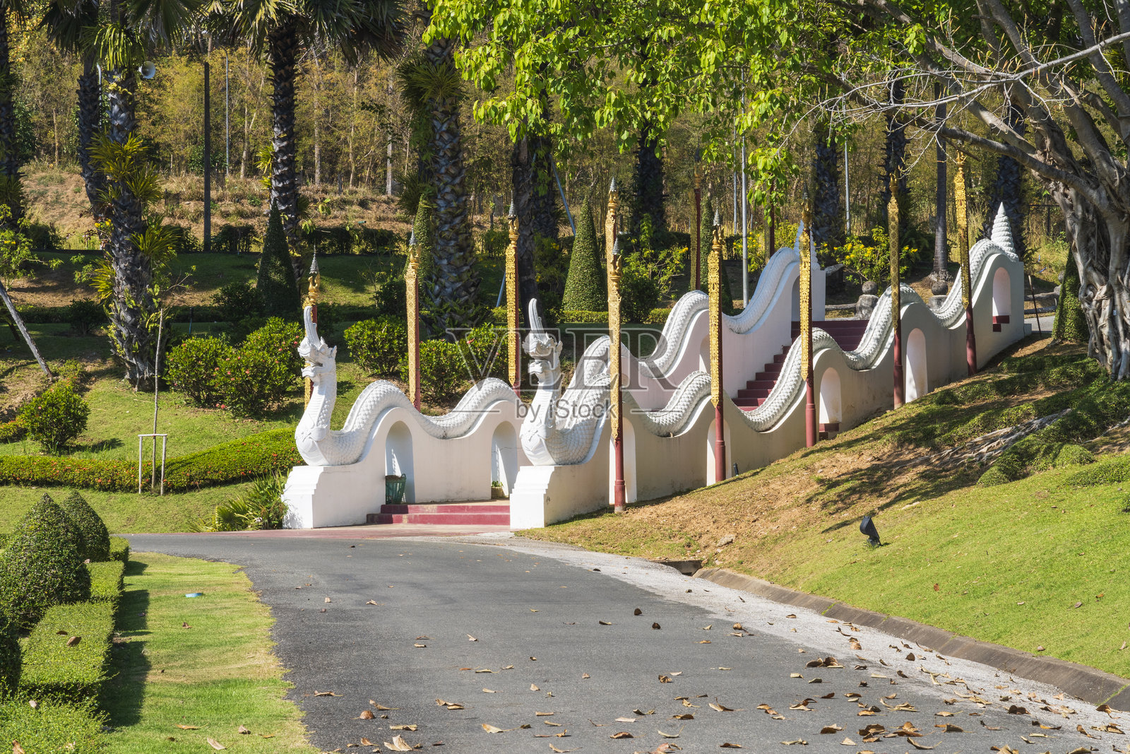 清迈皇家花卉拉查普鲁克园照片摄影图片