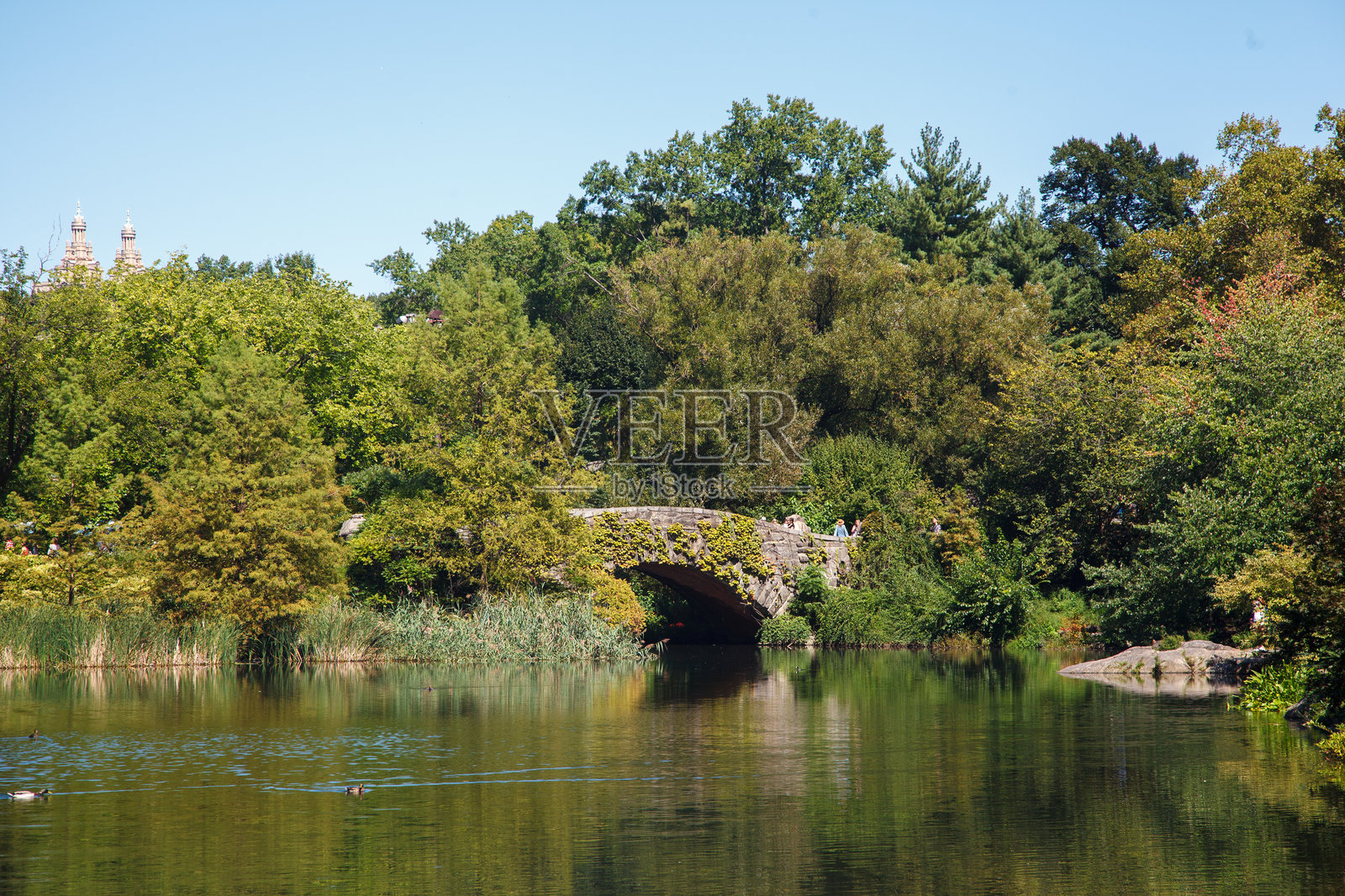 中央公园的盖普斯托桥,位于曼哈顿中城的池塘湖畔。照片摄影图片
