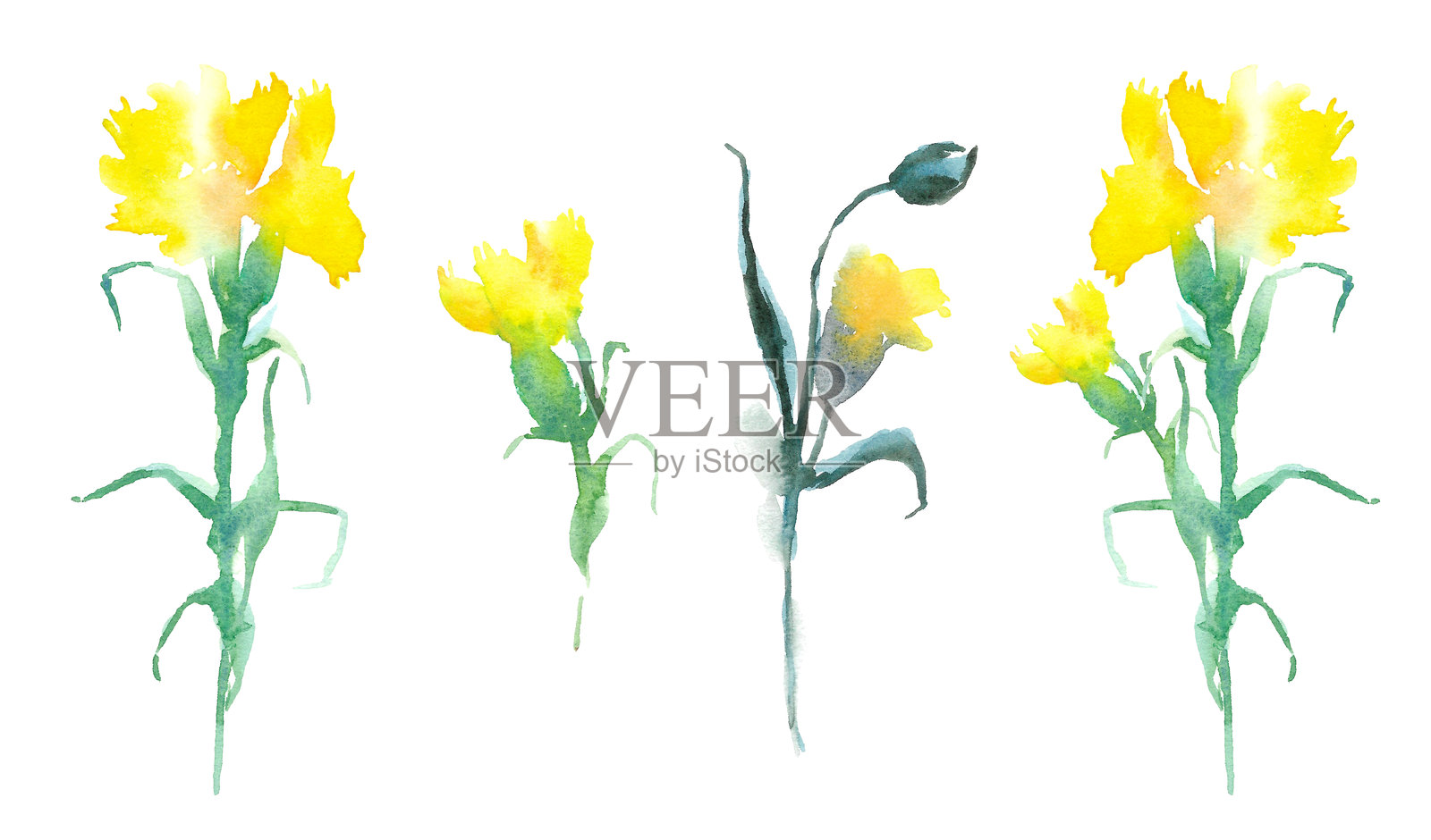 水彩婚礼花卉。插画图片素材