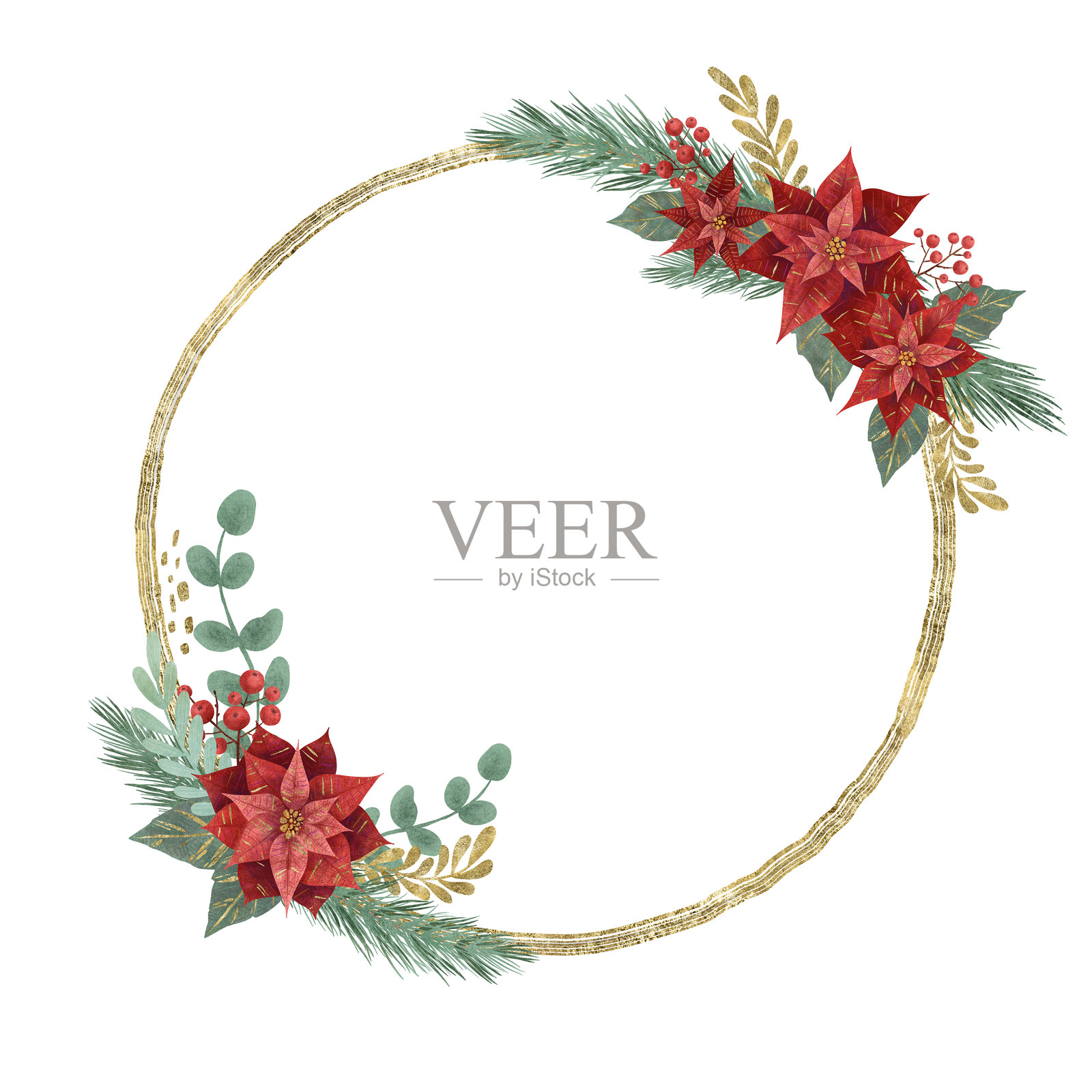 圆形花环框架，装饰有红色圣诞花（一品红）、松枝和浆果，背景为白色。插画图片素材