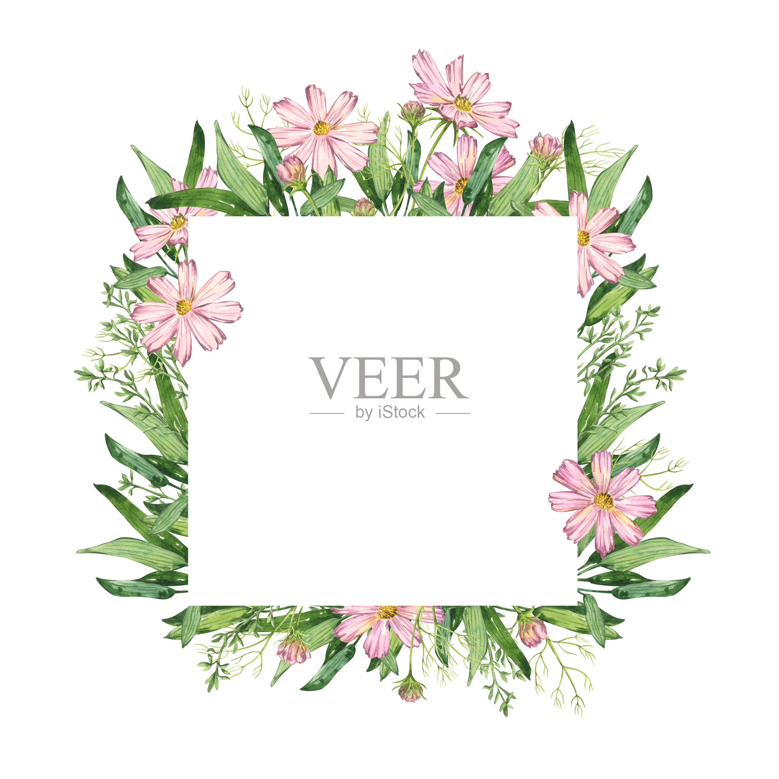 白色背景上的水彩方形花卉框架。手绘夏季花卉插图，适用于生日、婚礼、周年纪念、浪漫活动和邀请函。插画图片素材