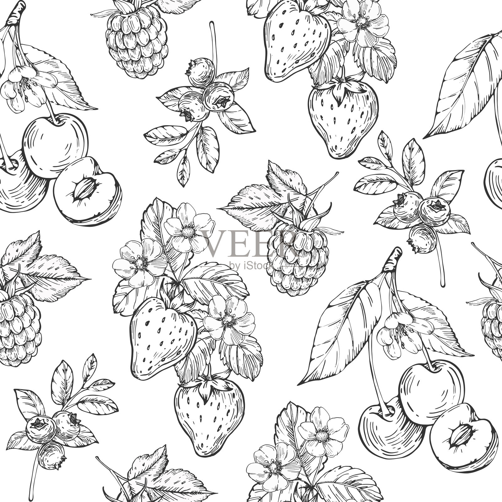 手绘浆果矢量无缝图案。草莓、樱桃、覆盆子和蓝莓背景。用于纺织品、包装纸和标签设计的模板。插画图片素材