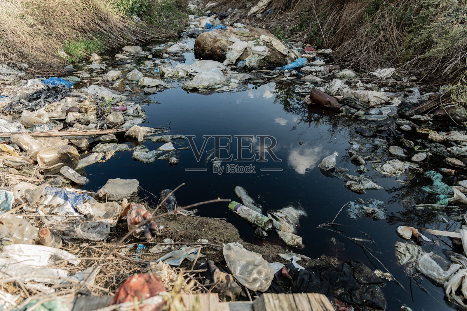 水体被塑料垃圾严重污染，反映出植被情况，亟需环保照片摄影图片