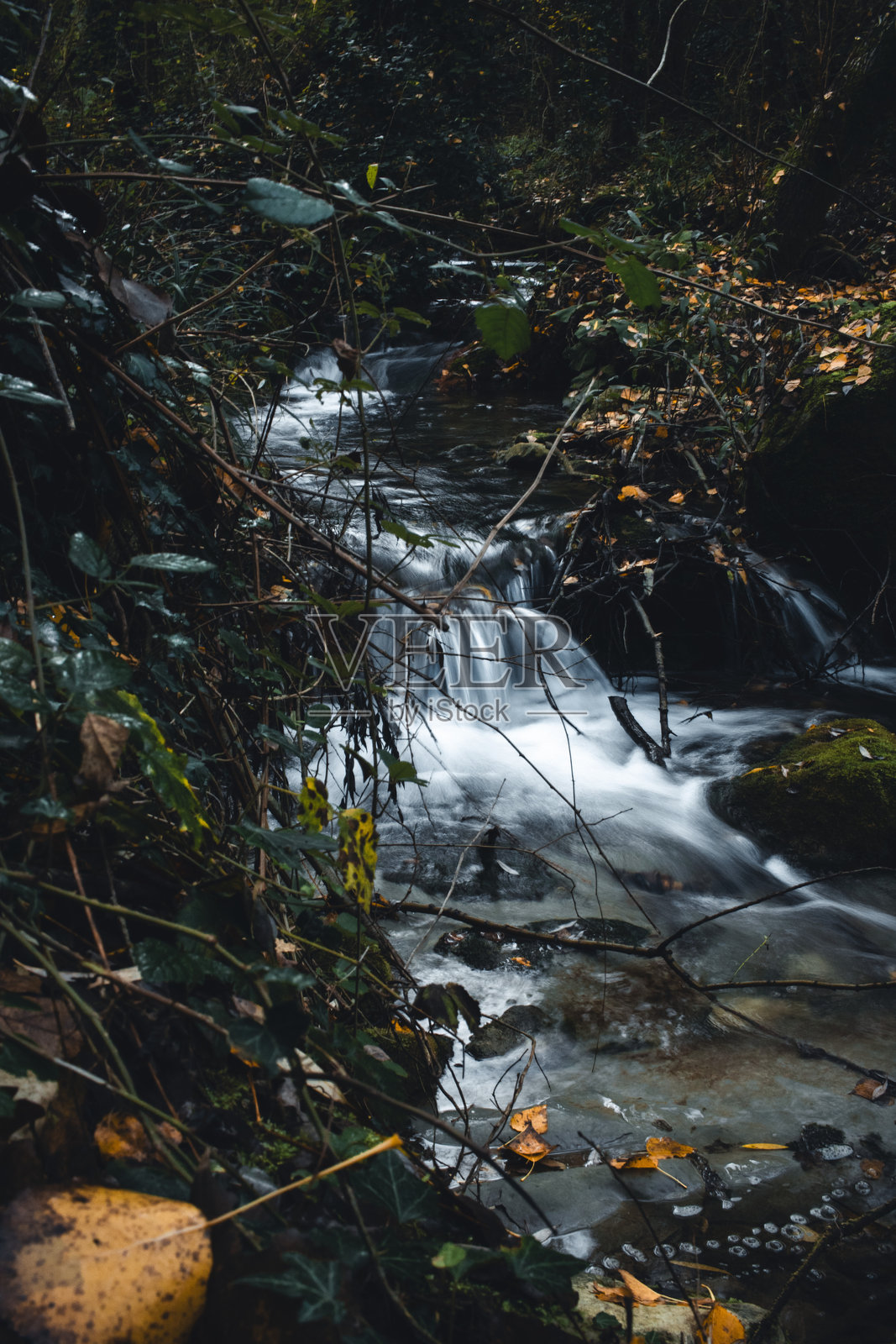 小溪在秋叶下缓缓流淌照片摄影图片