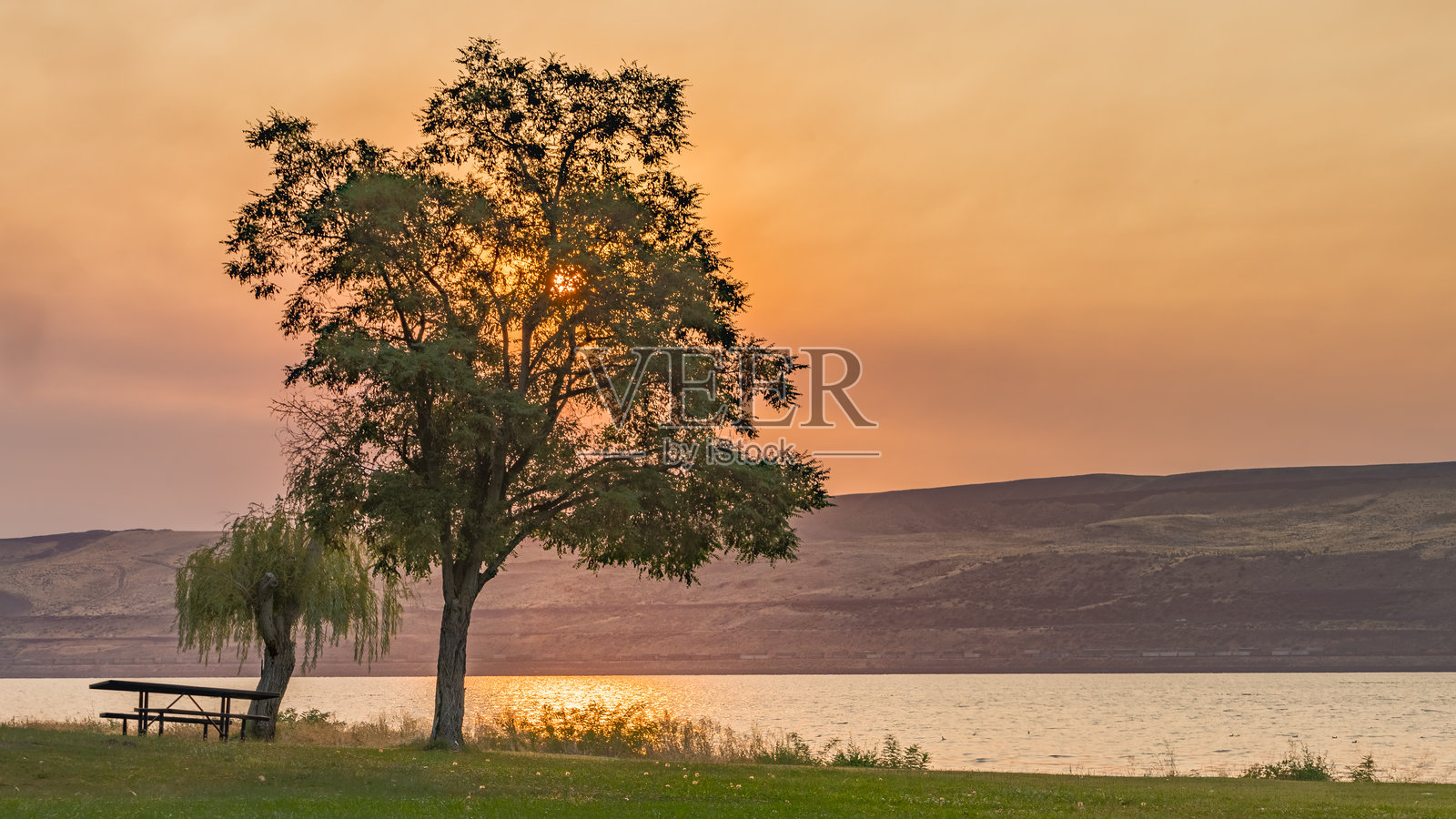 华盛顿州罗斯福公园娱乐区，俯瞰哥伦比亚河俄勒冈州一侧的阳光在雾霭中。照片摄影图片