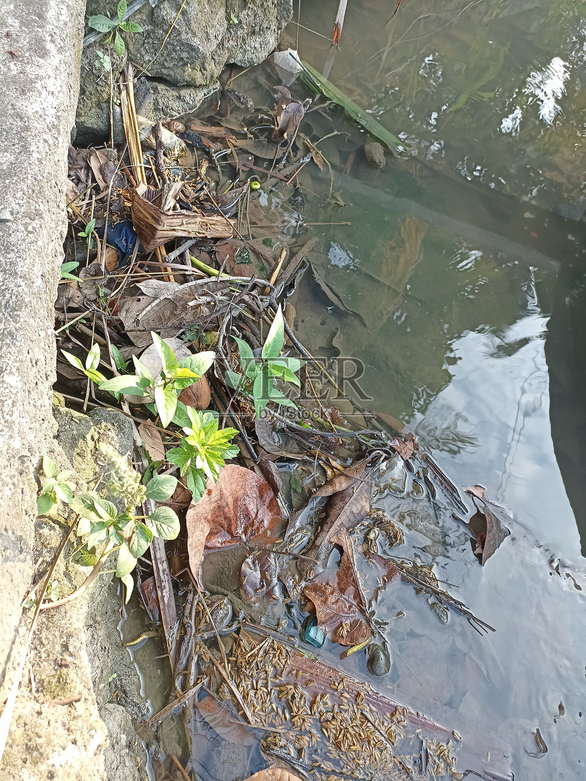 河里淹没了大量垃圾照片摄影图片