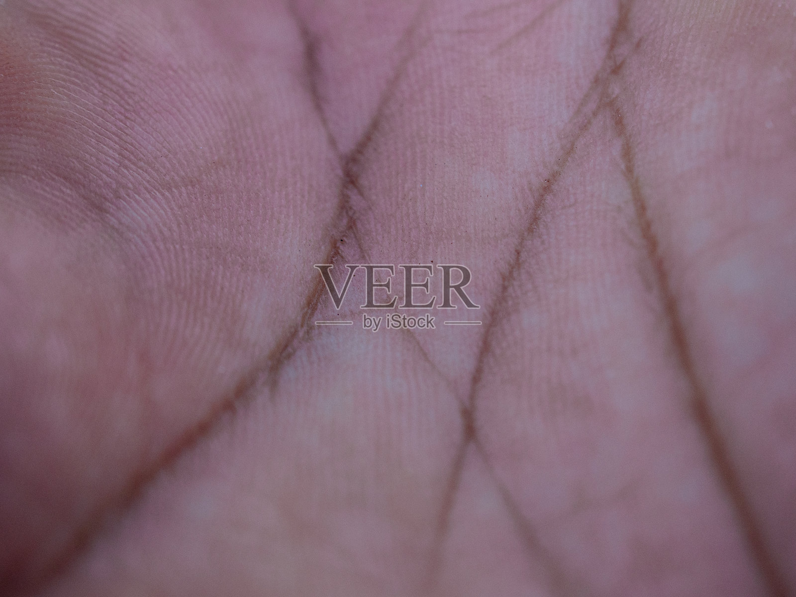 手部特写照片摄影图片