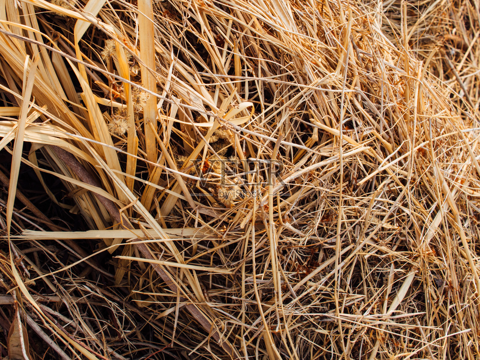 干草照片摄影图片