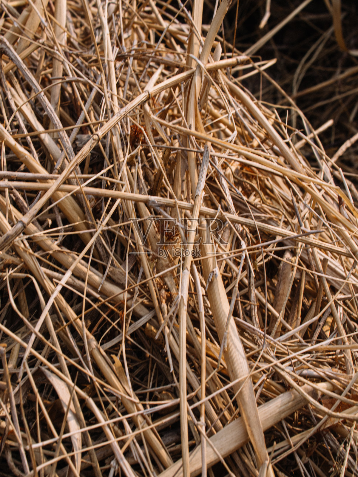 干草照片摄影图片