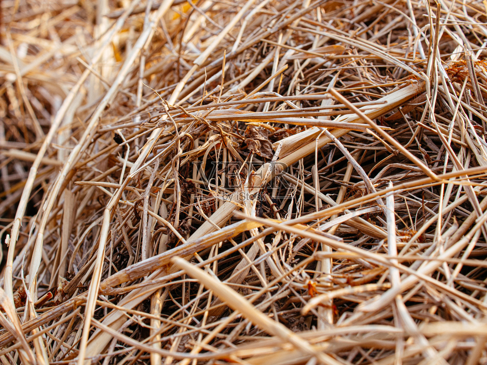 干草照片摄影图片