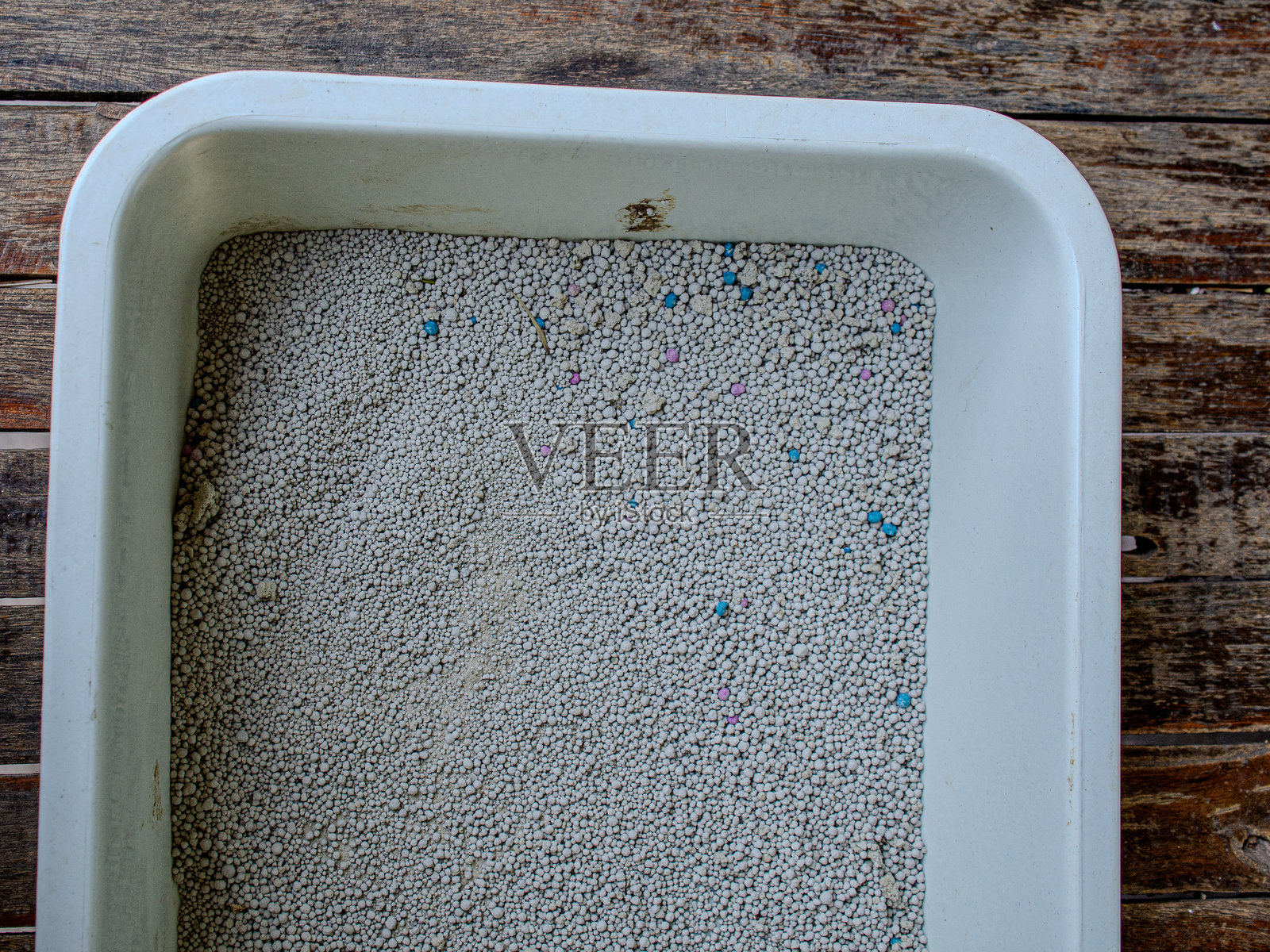 猫砂照片摄影图片