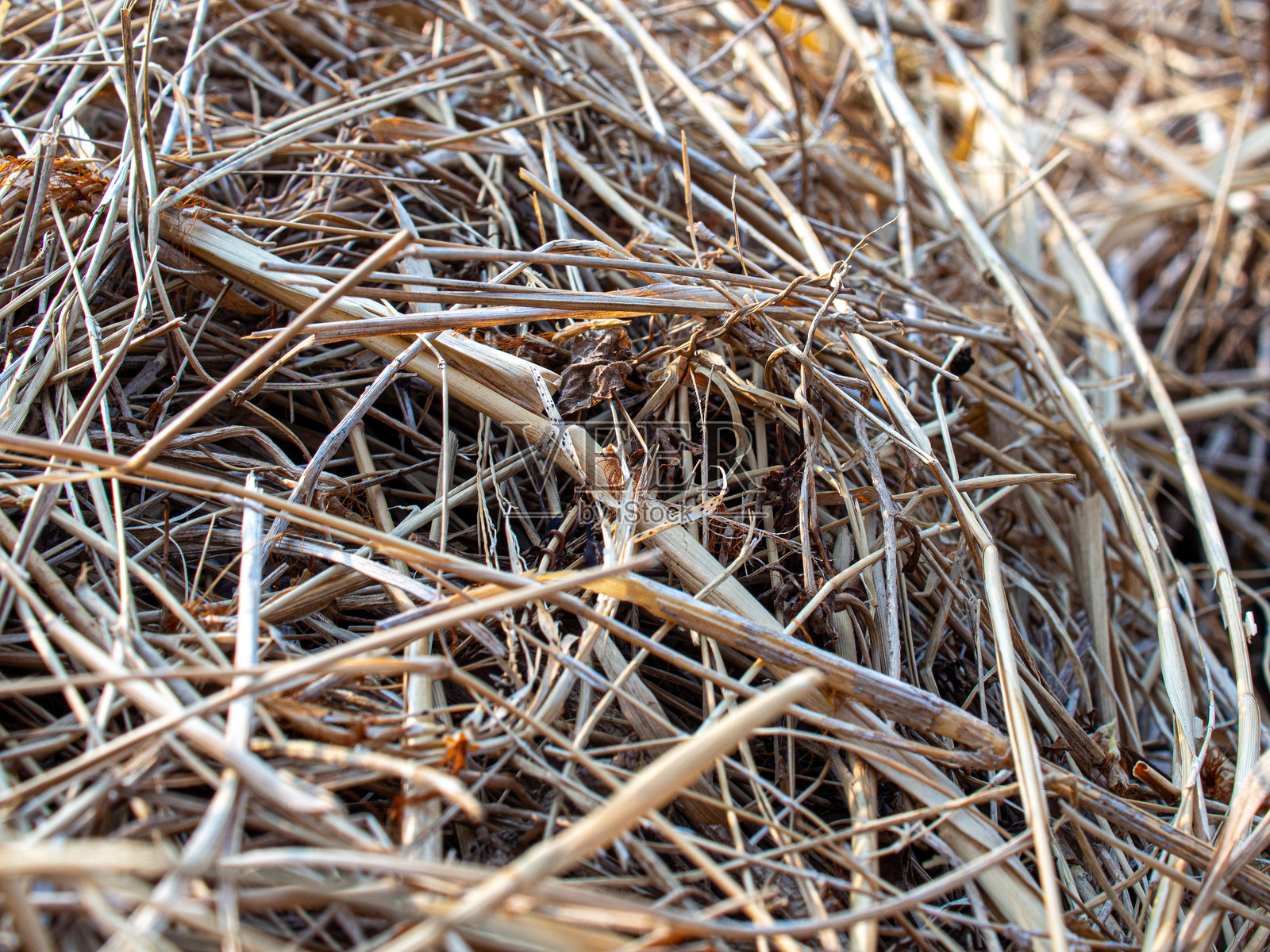 干草照片摄影图片