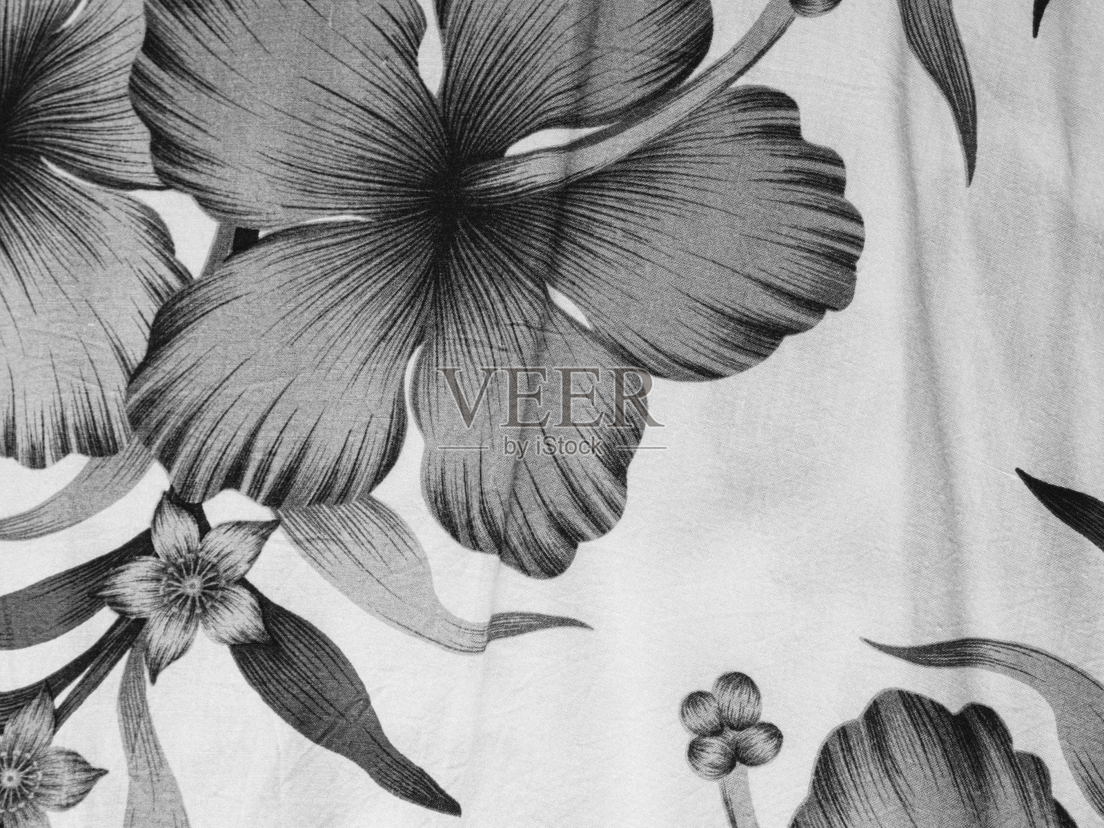 衬衫面料照片摄影图片