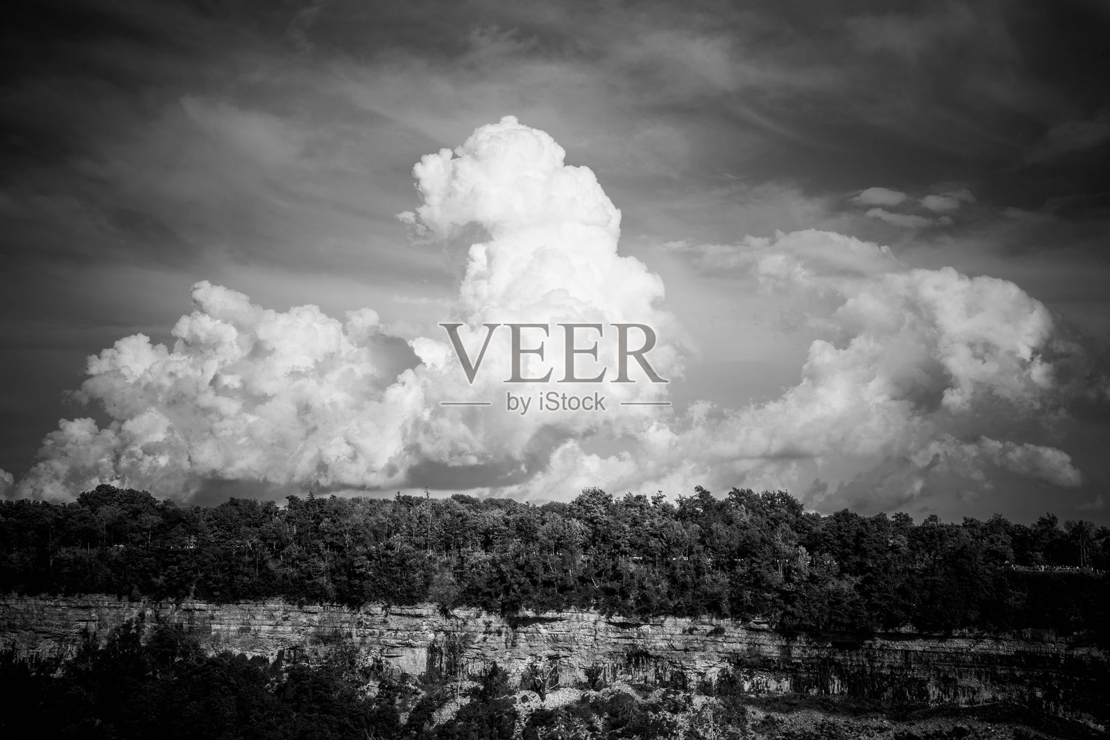 森林悬崖上方的戏剧性天空照片摄影图片