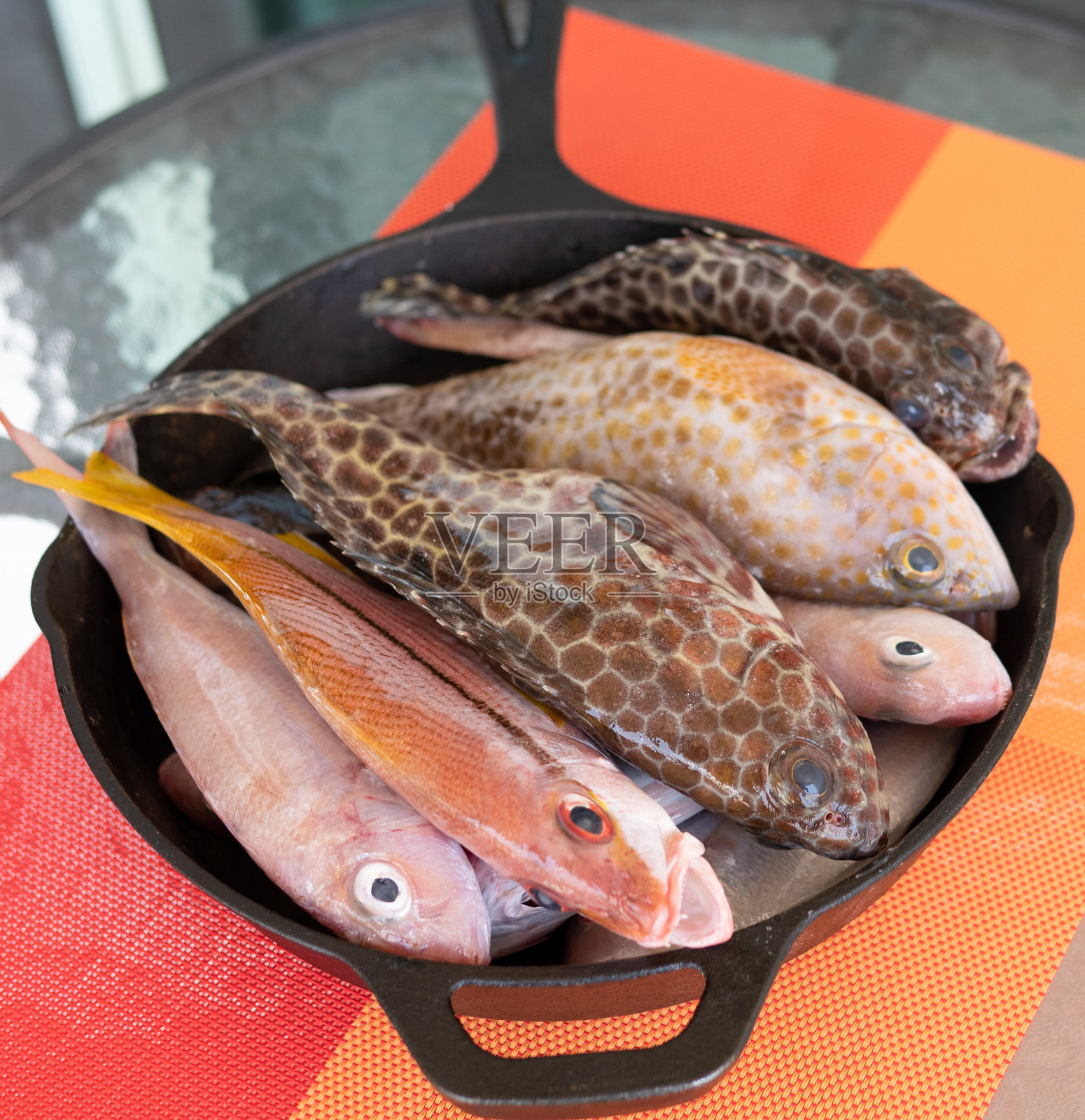 新鲜鱼照片摄影图片