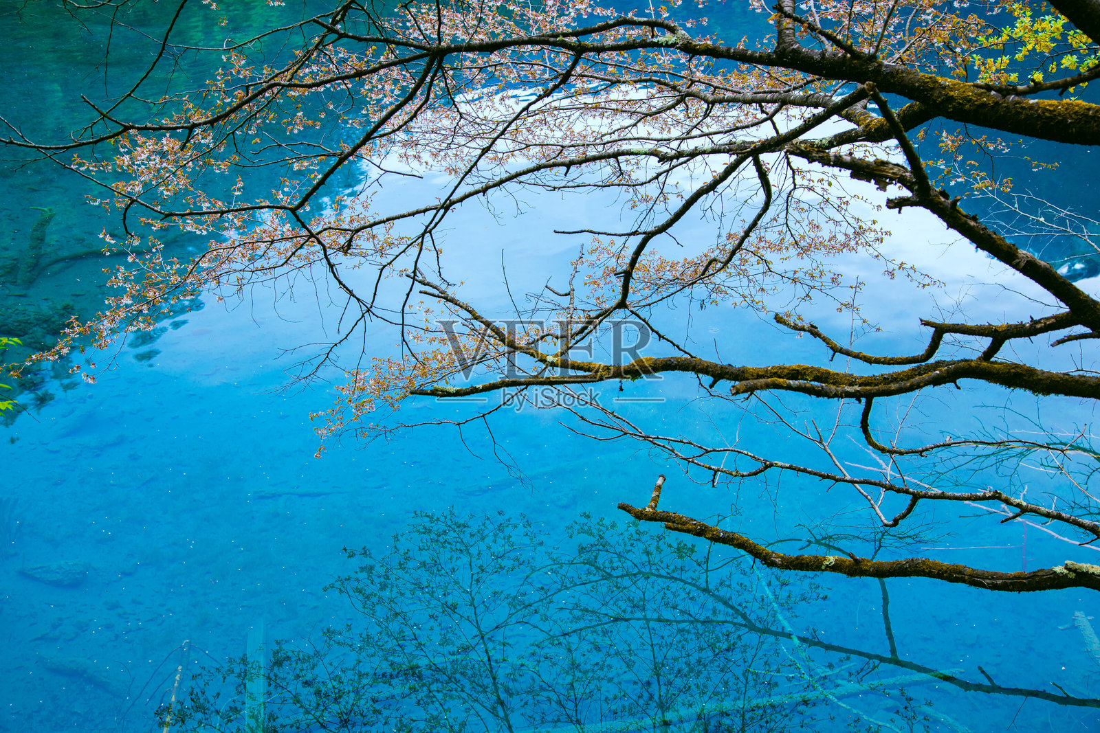 九寨沟，四川省阿坝 - 蓝天下的湖泊与山脉照片摄影图片