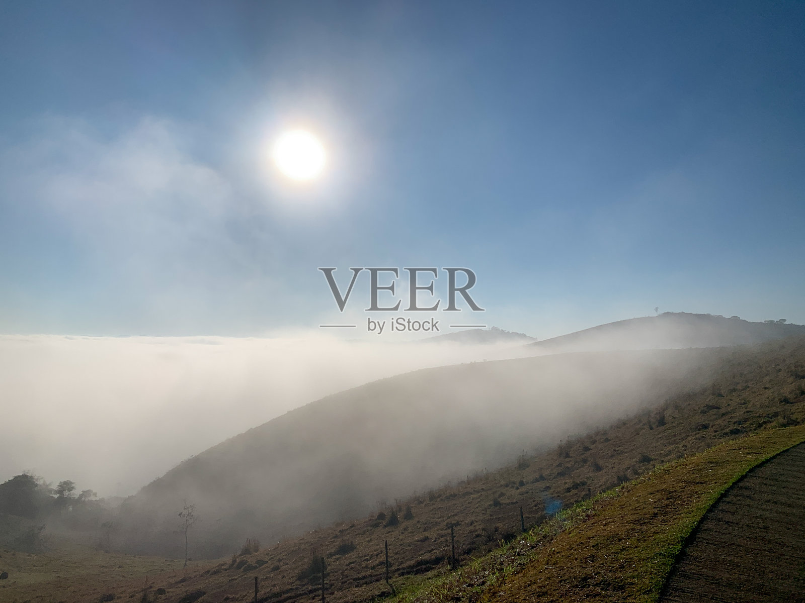 阳光与雾霭照片摄影图片