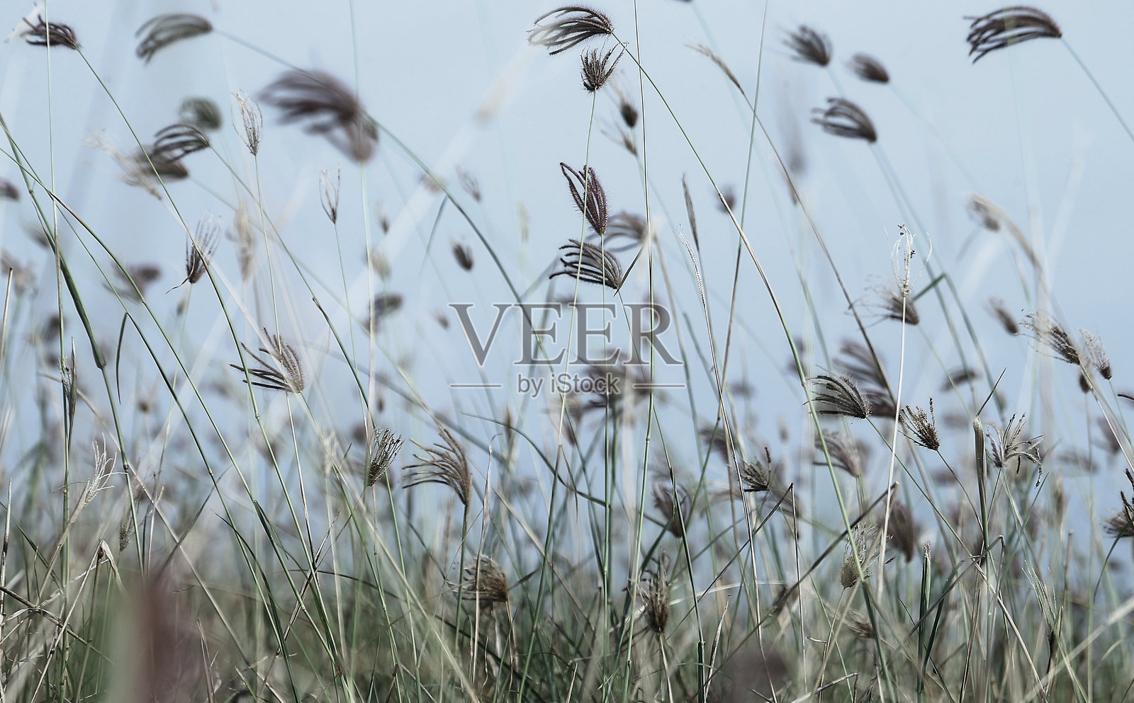 物体与户外照片摄影图片