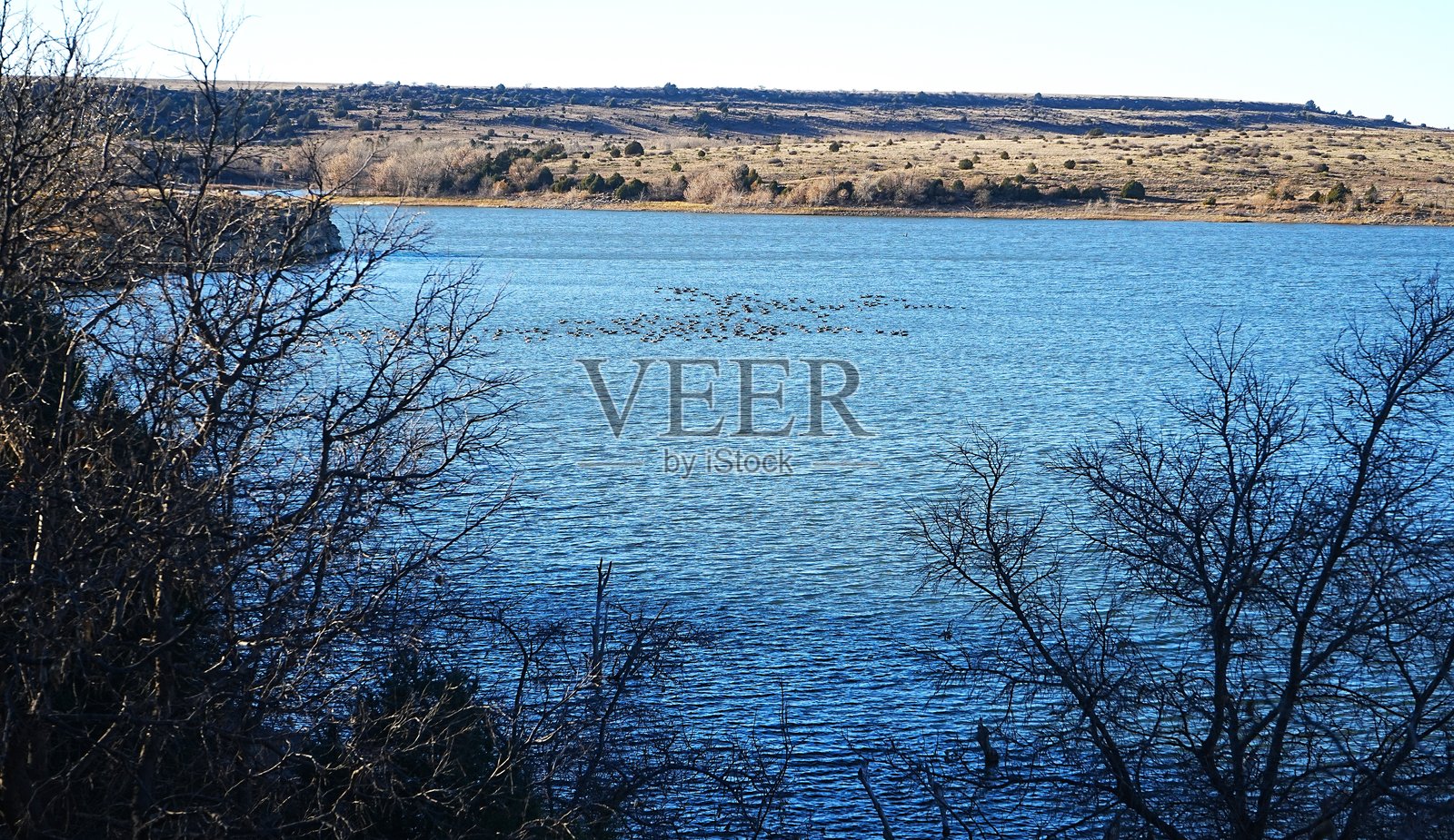 野生动物。美丽的湖泊坐落在山谷中，周围是坚固的分层基岩上的化石足迹。克莱顿湖州立公园和克莱顿新墨西哥州的恐龙足迹。照片摄影图片