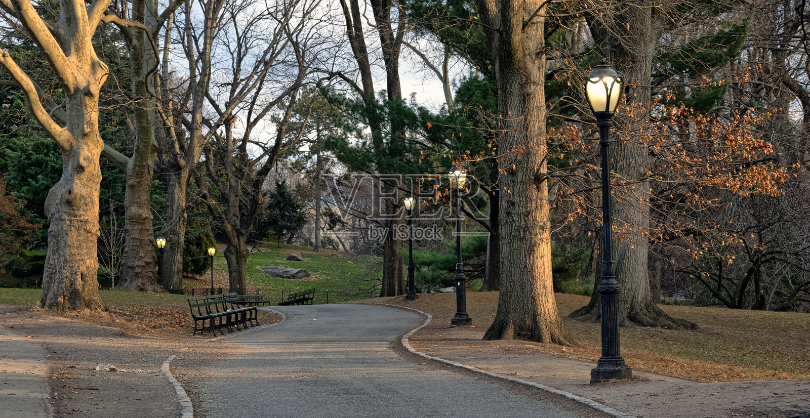冬季的中央公园照片摄影图片