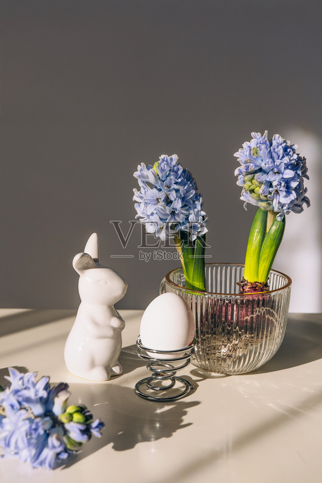 春季构图，风信子花与兔子雕像，背景模糊柔和。春季横幅，留有空白空间。照片摄影图片