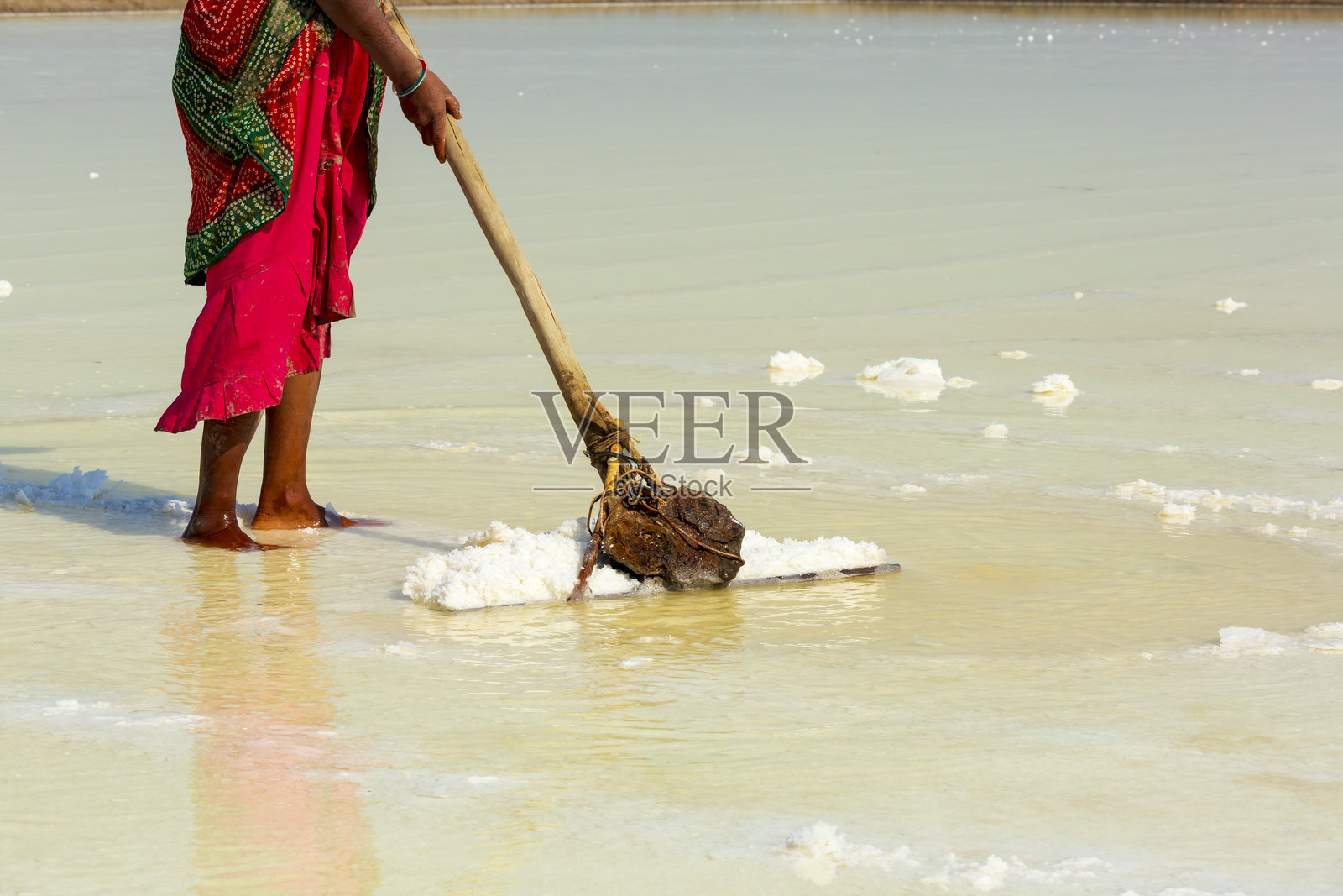 亚洲，南亚，印度。库奇大盐沼，位于塔尔沙漠的盐沼。世界上最大的盐漠之一。采盐。照片摄影图片