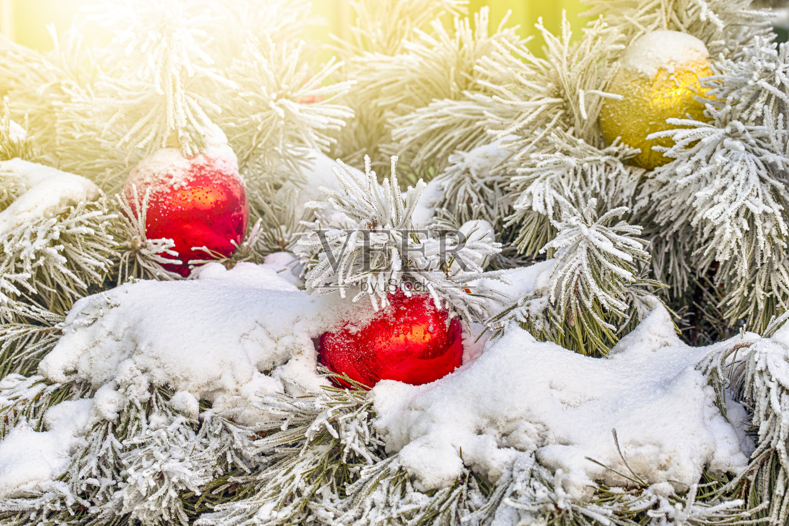 圣诞树和圣诞装饰的艺术背景，伴随着雪和霜，阳光洒下，体现节日和新年的概念。照片摄影图片