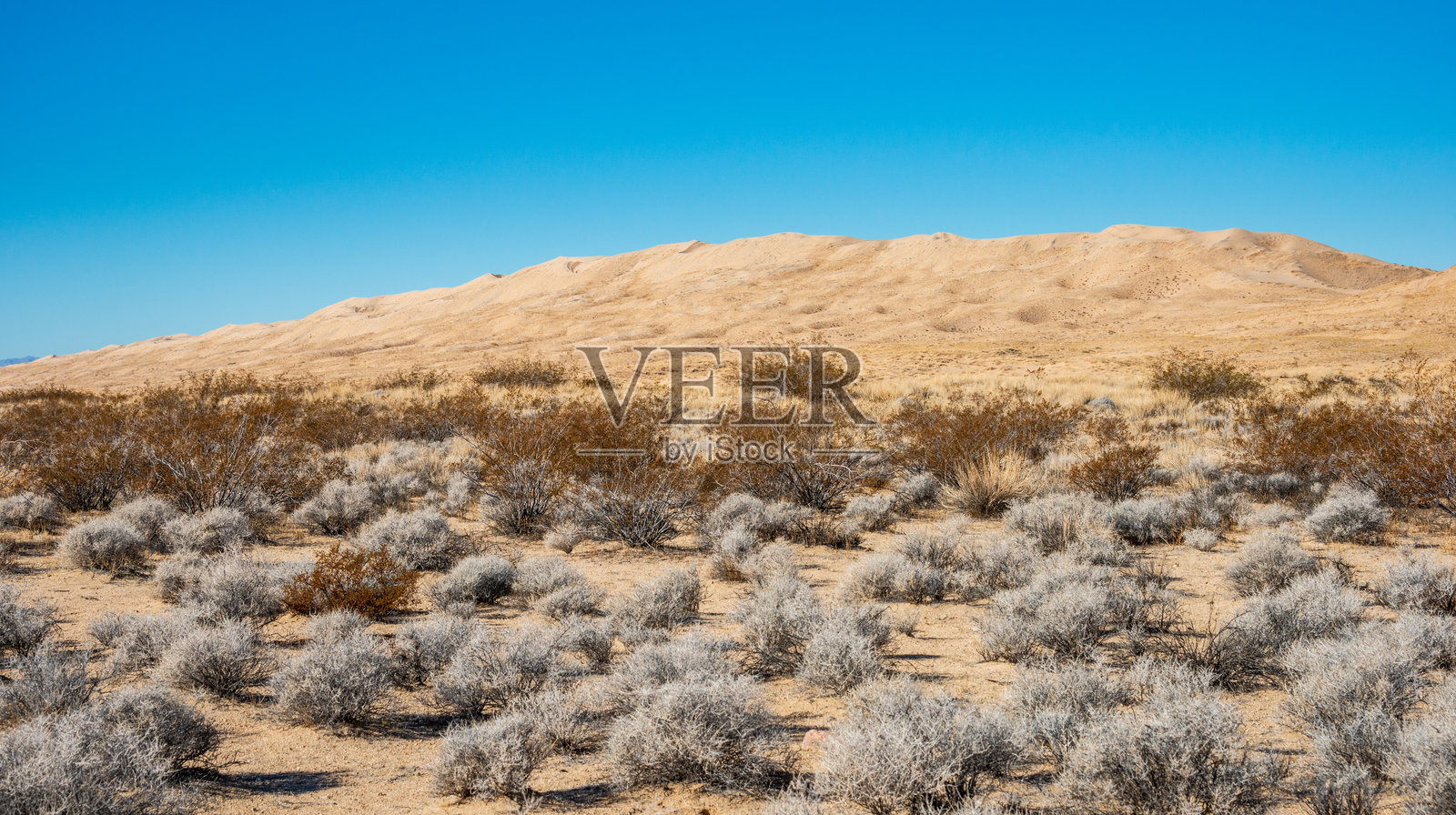 莫哈维国家保护区的干旱沙漠沙丘照片摄影图片