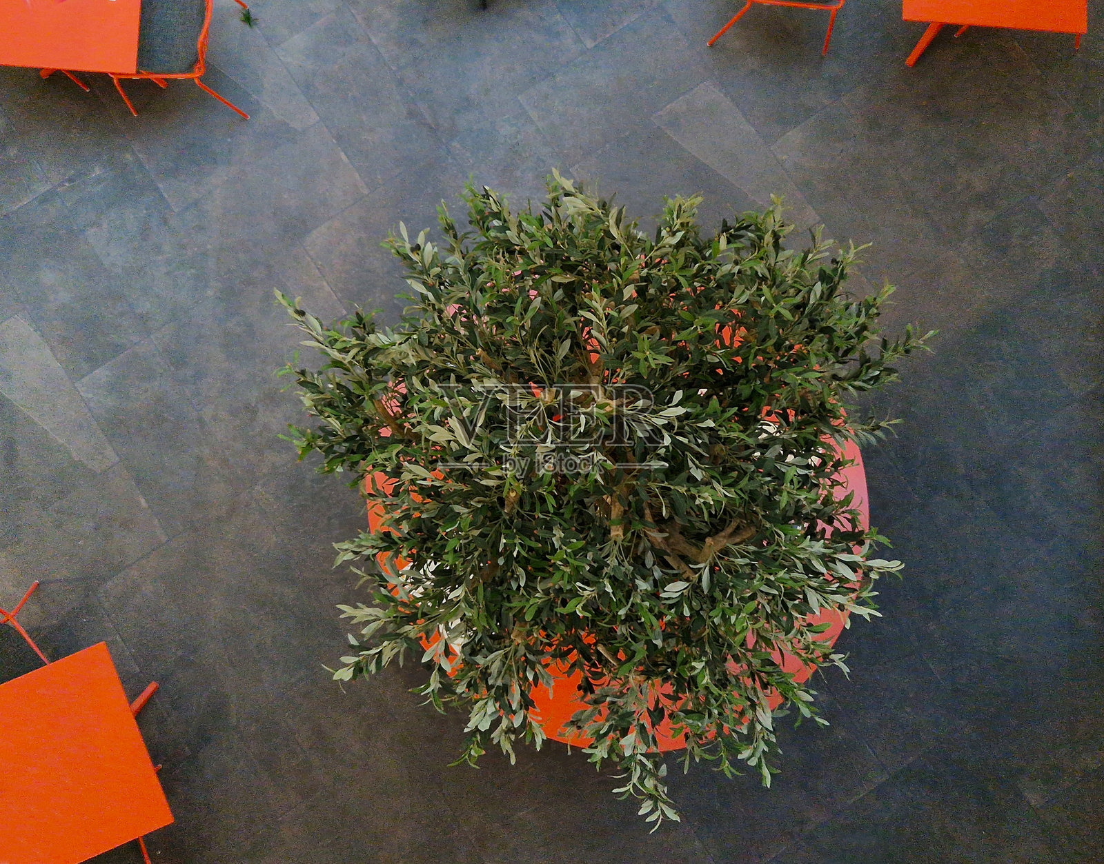 圆形桌子上的装饰性橄榄的桌椅，披萨店风格，俯视角度。照片摄影图片