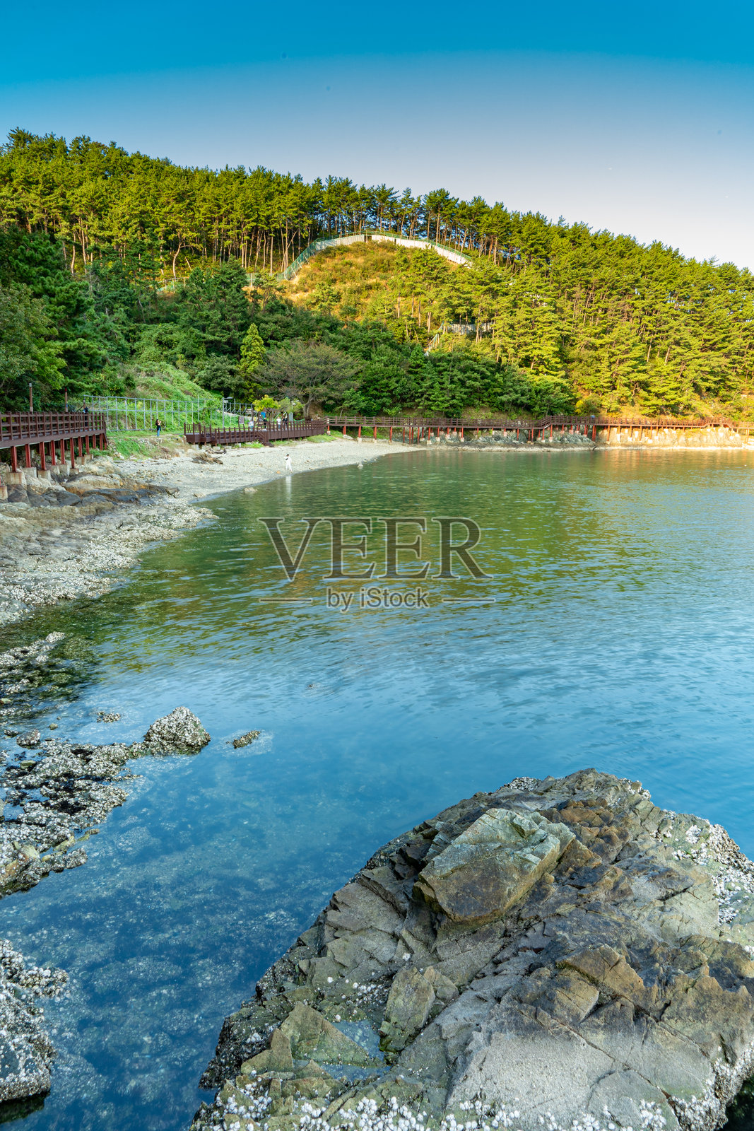 韩国美丽的海洋风景，水面、树木、桥梁和蓝天照片摄影图片